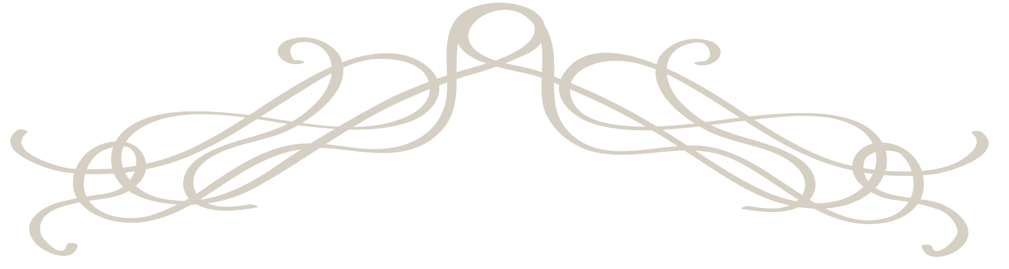 Decorative horizontal divider with a frosted glass effect