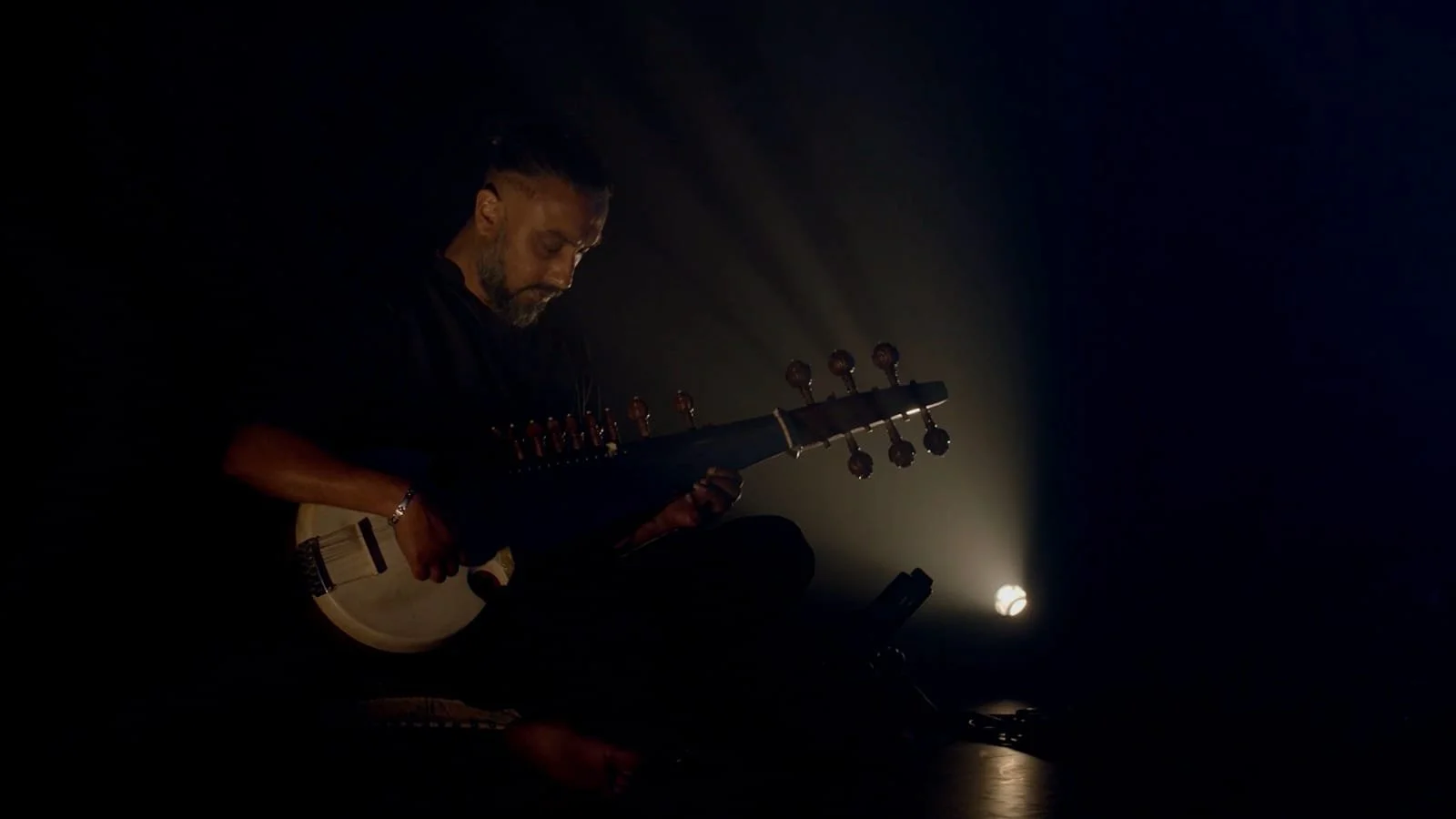 Sarod by Avi