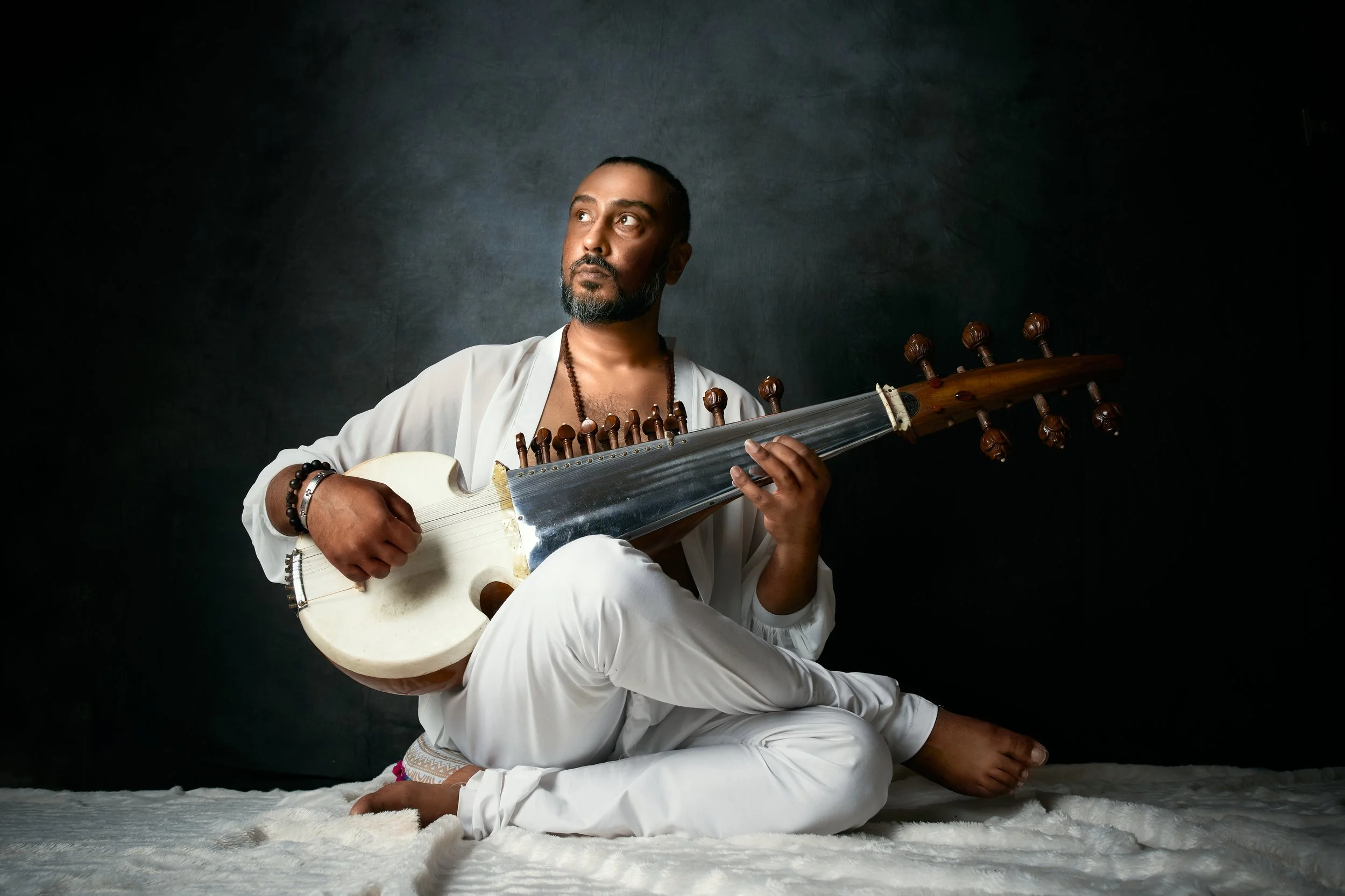 Sarod by Avi — Imperceptible Art