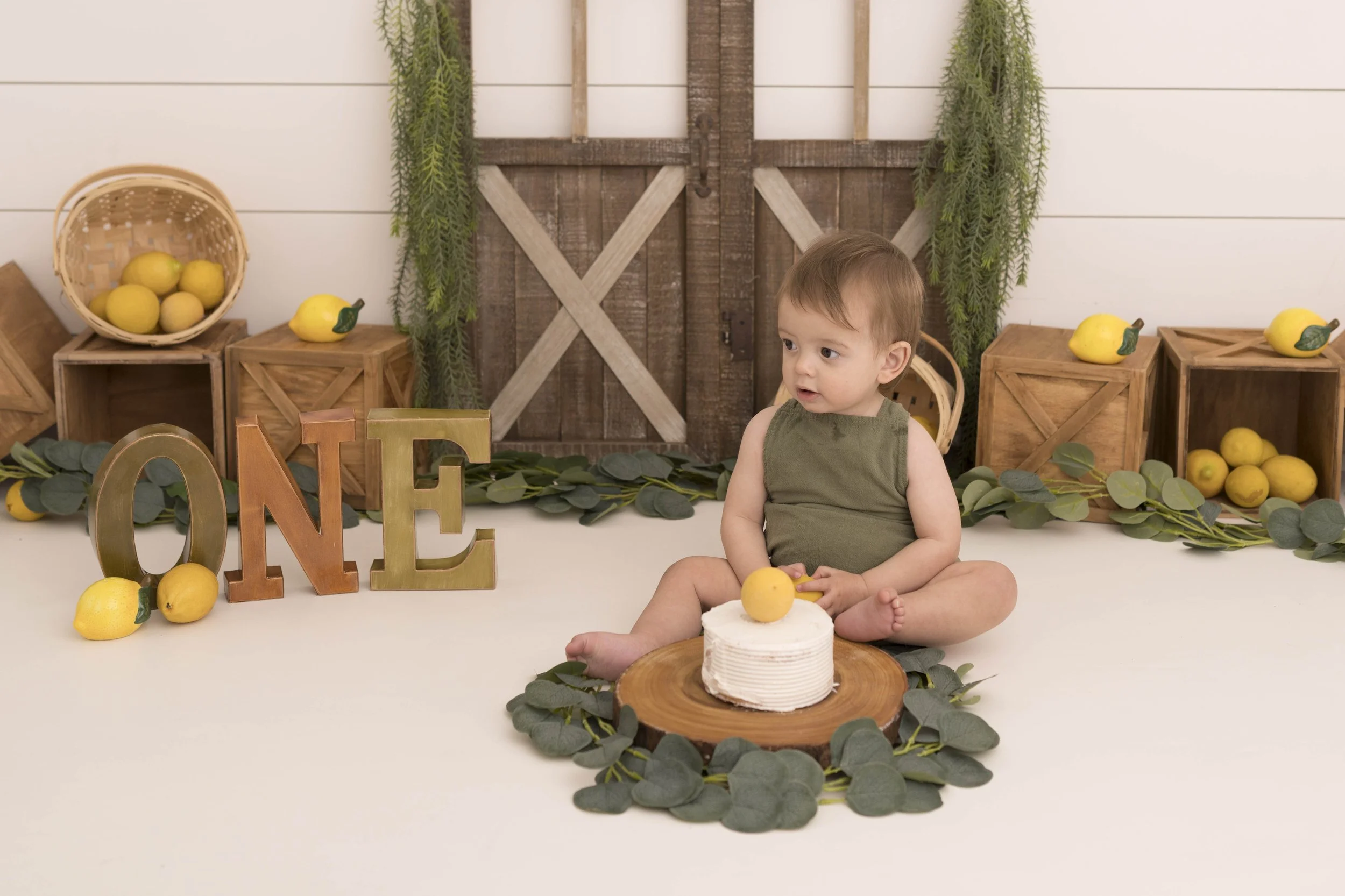 Celebrate your little one’s first birthday with a one year photoshoot in Heart to Heart Photography's Niagara Studio. Choose from a wide variety of themes, backdrops, and outfits, plus enjoy a fun Smash & Splash and optional family photos.