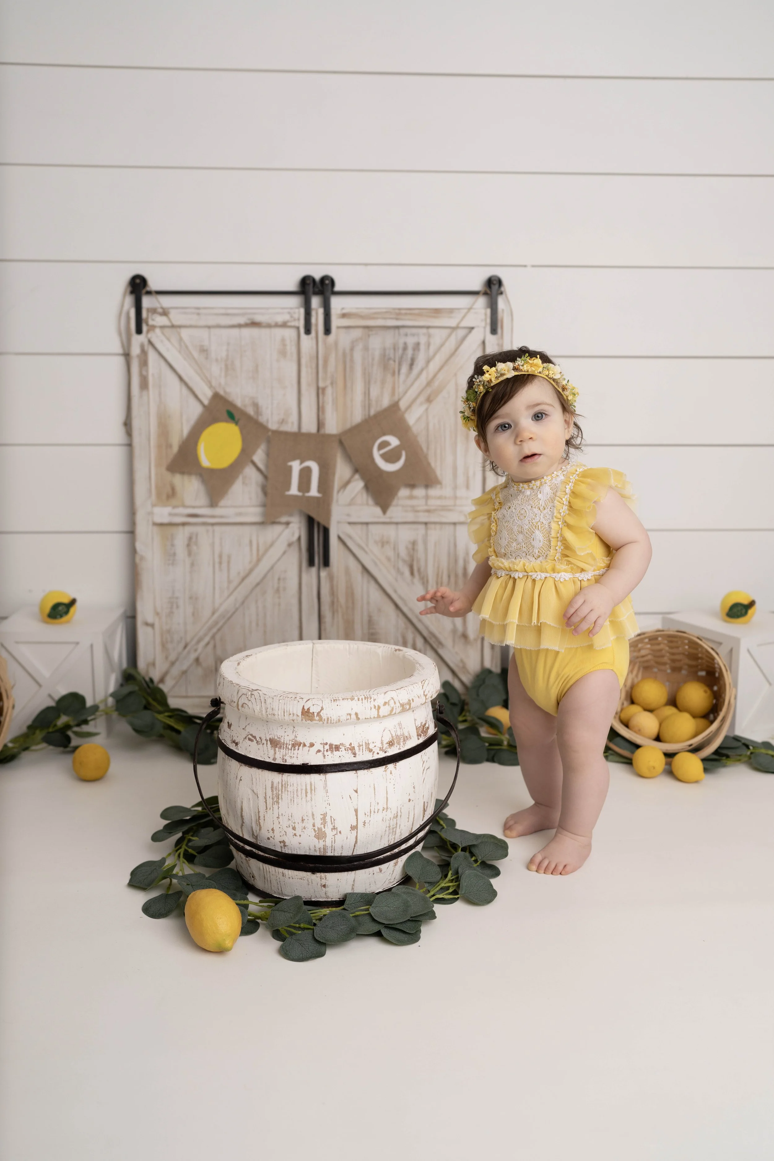 Celebrate your little one’s first birthday with a one year photoshoot in Heart to Heart Photography's Niagara Studio. Choose from a wide variety of themes, backdrops, and outfits, plus enjoy a fun Smash & Splash and optional family photos.