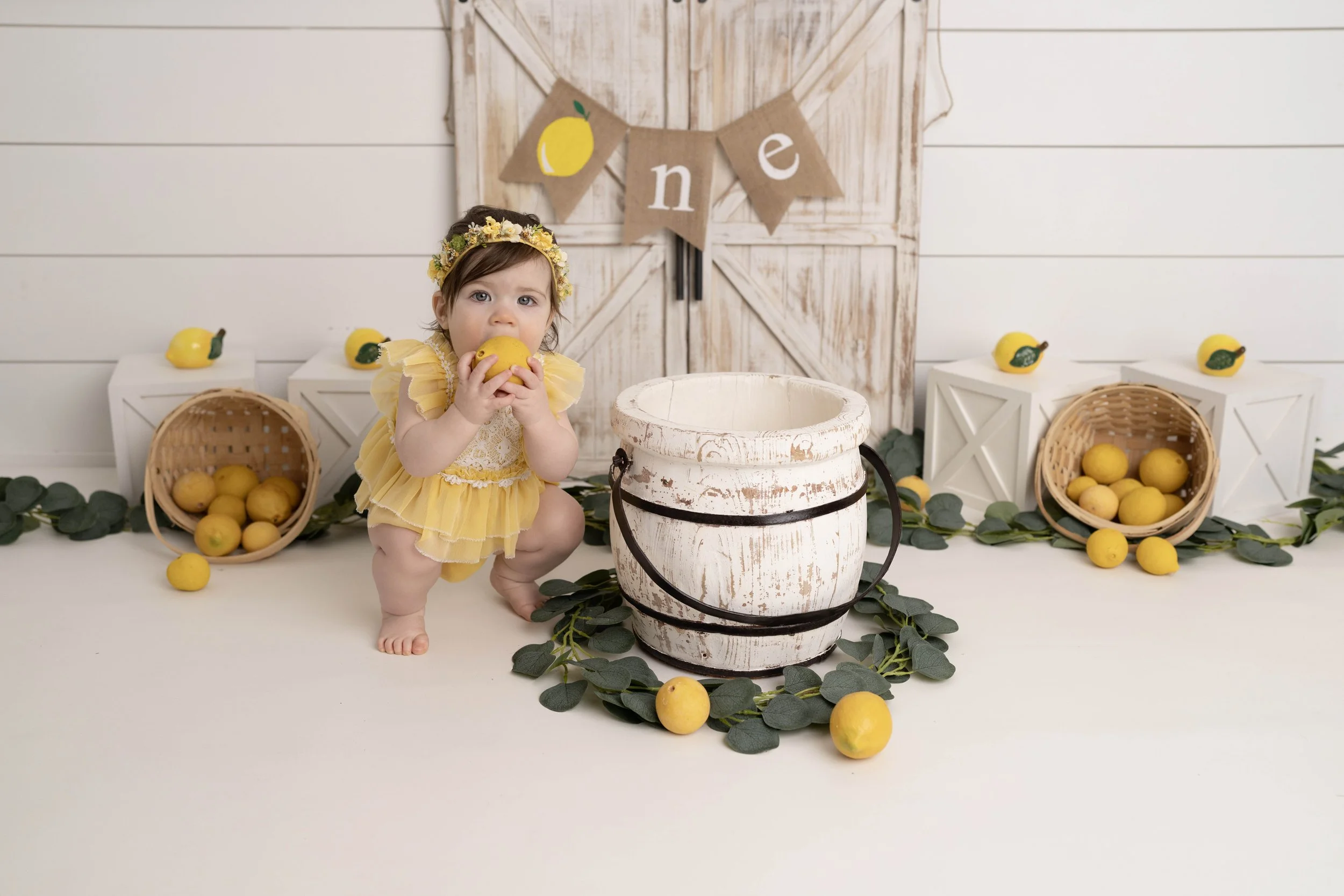 Celebrate your little one’s first birthday with a one year photoshoot in Heart to Heart Photography's Niagara Studio. Choose from a wide variety of themes, backdrops, and outfits, plus enjoy a fun Smash & Splash and optional family photos.