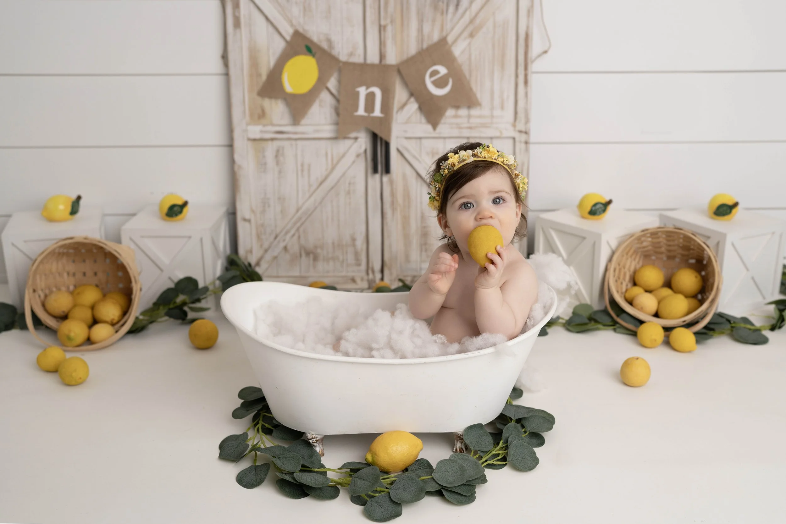 Celebrate your little one’s first birthday with a one year photoshoot in Heart to Heart Photography's Niagara Studio. Choose from a wide variety of themes, backdrops, and outfits, plus enjoy a fun Smash & Splash and optional family photos.