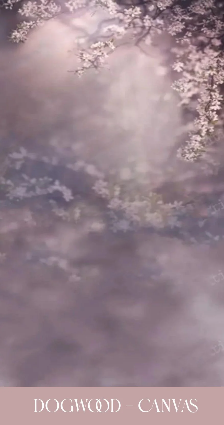 dogwood.jpg
