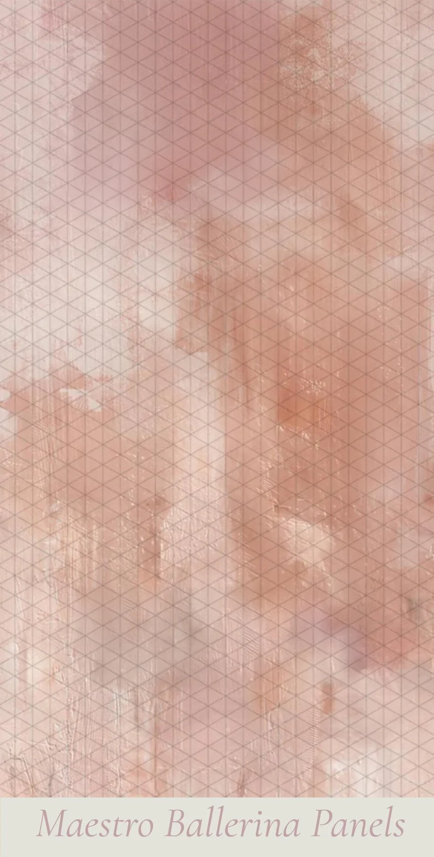maestro ballerina.jpg