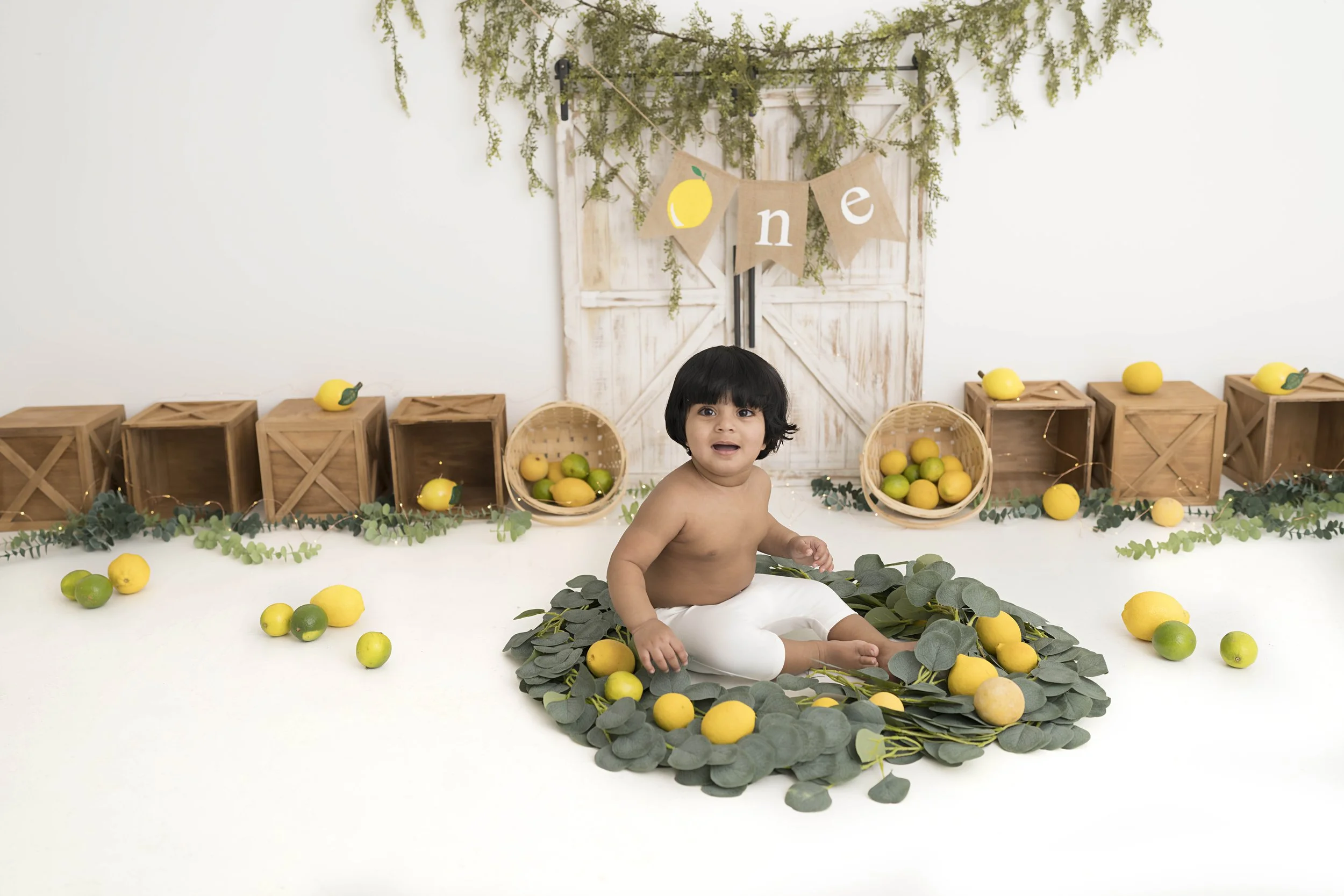 Celebrate your little one’s first birthday with a one year photoshoot in Heart to Heart Photography's Niagara Studio. Choose from a wide variety of themes, backdrops, and outfits, plus enjoy a fun Smash & Splash and optional family photos.