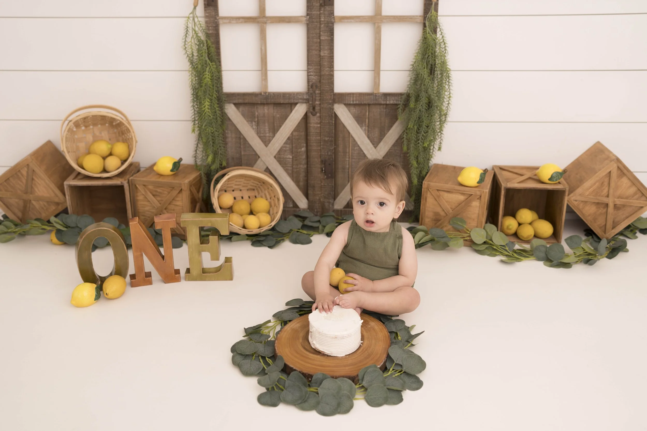 Celebrate your little one’s first birthday with a one year photoshoot in Heart to Heart Photography's Niagara Studio. Choose from a wide variety of themes, backdrops, and outfits, plus enjoy a fun Smash & Splash and optional family photos.