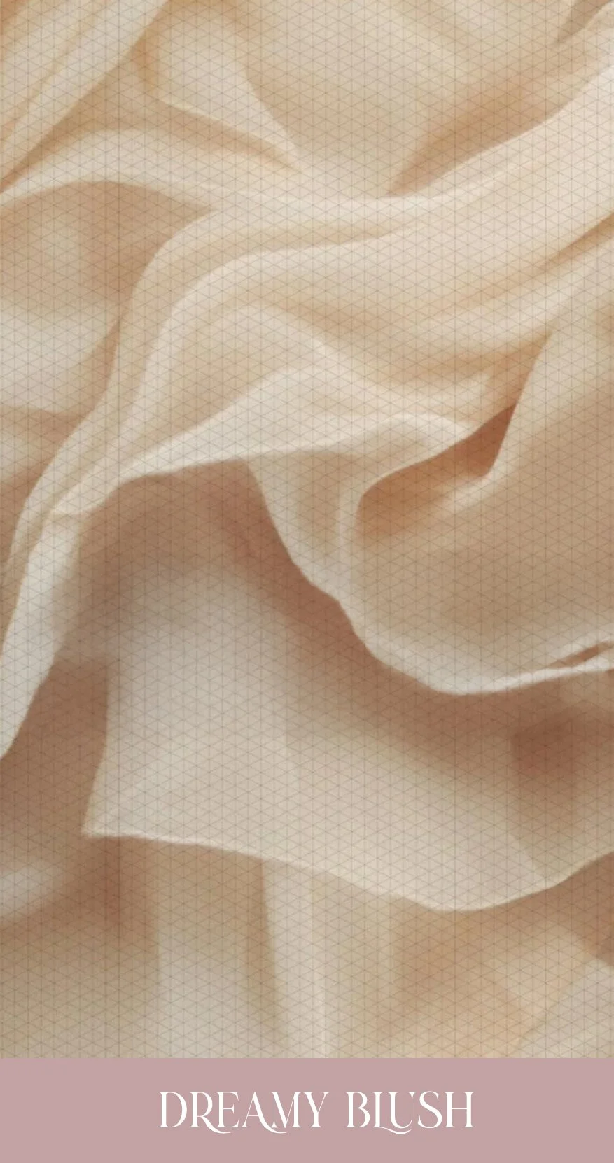 Dreamy Blush.jpg