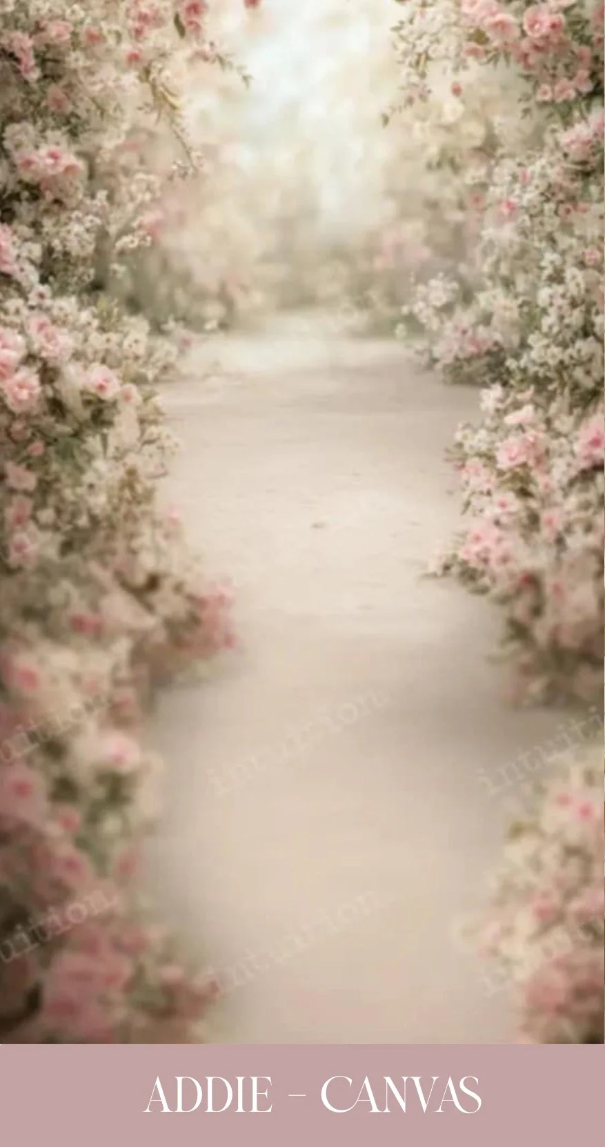 addie - canvas.jpg