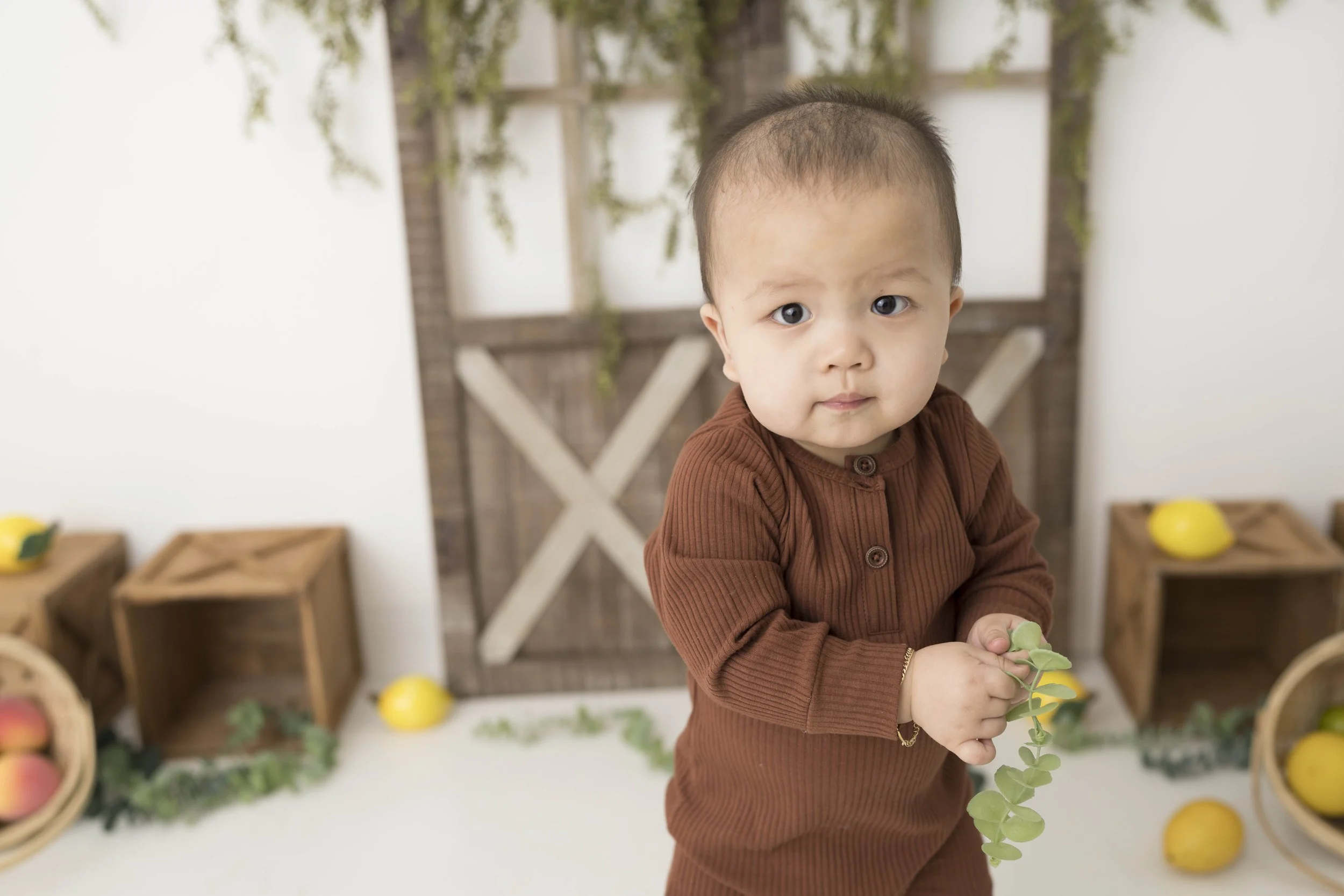 Celebrate your little one’s first birthday with a one year photoshoot in Heart to Heart Photography's Niagara Studio. Choose from a wide variety of themes, backdrops, and outfits, plus enjoy a fun Smash & Splash and optional family photos.