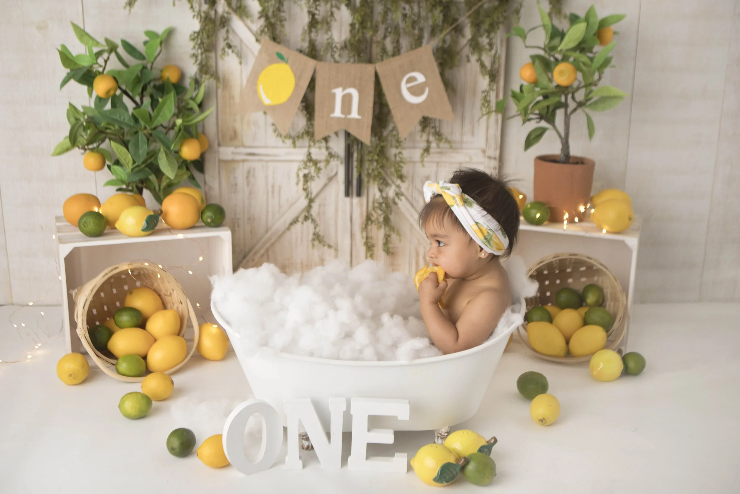 Celebrate your little one’s first birthday with a one year photoshoot in Heart to Heart Photography's Niagara Studio. Choose from a wide variety of themes, backdrops, and outfits, plus enjoy a fun Smash & Splash and optional family photos.