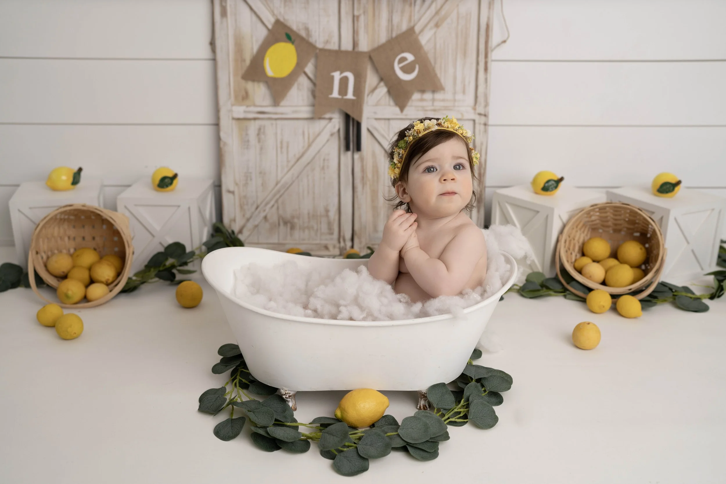 Celebrate your little one’s first birthday with a one year photoshoot in Heart to Heart Photography's Niagara Studio. Choose from a wide variety of themes, backdrops, and outfits, plus enjoy a fun Smash & Splash and optional family photos.