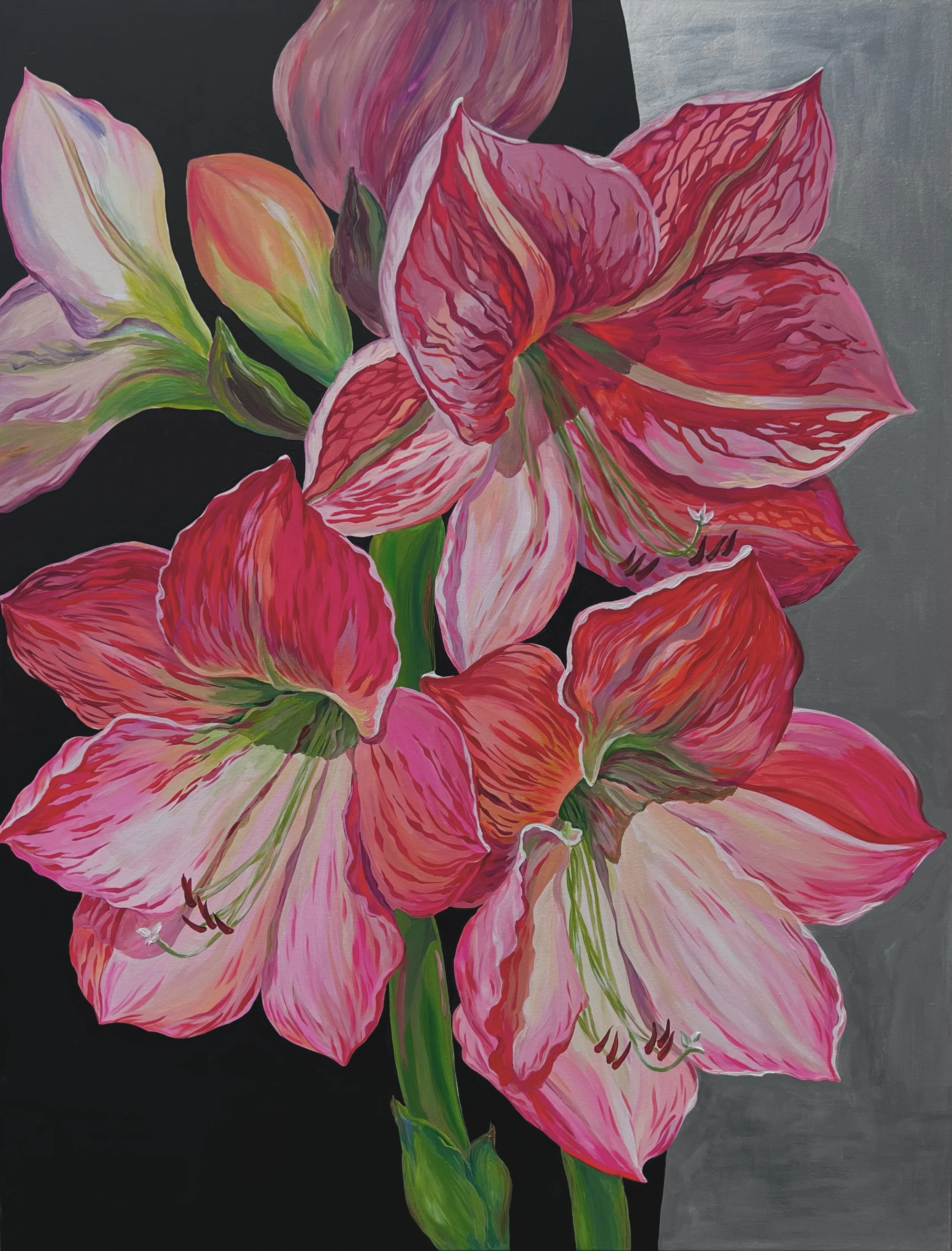 image_6483441 (1).JPG