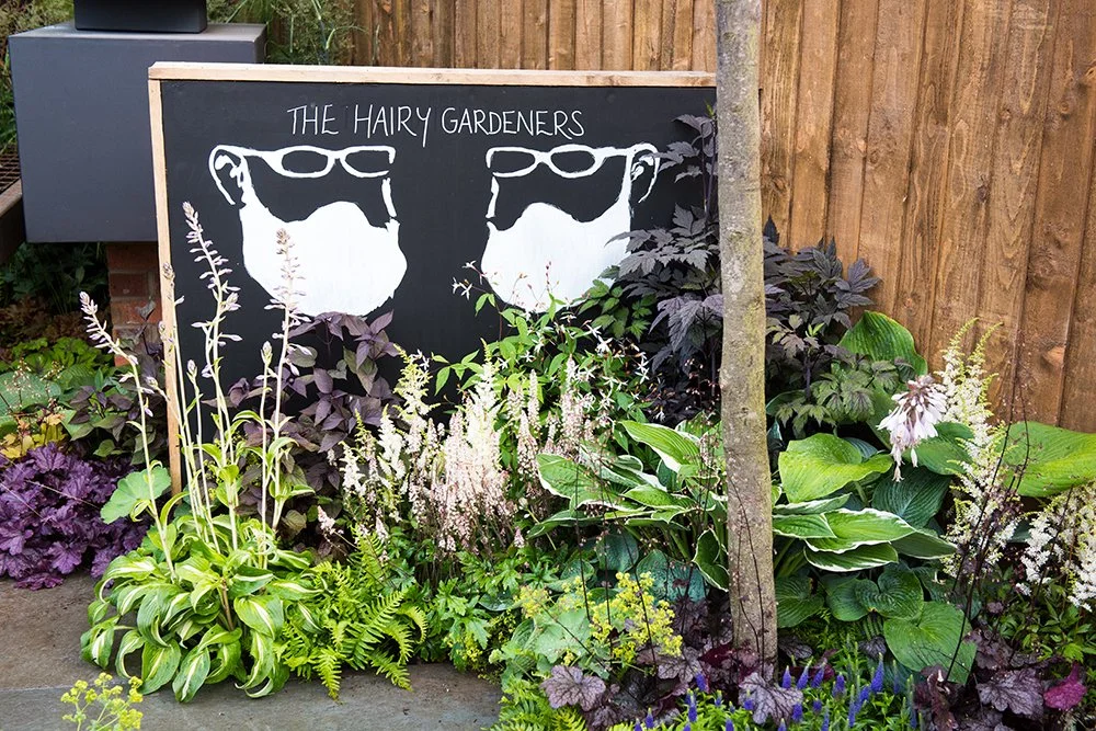 All About The Beards