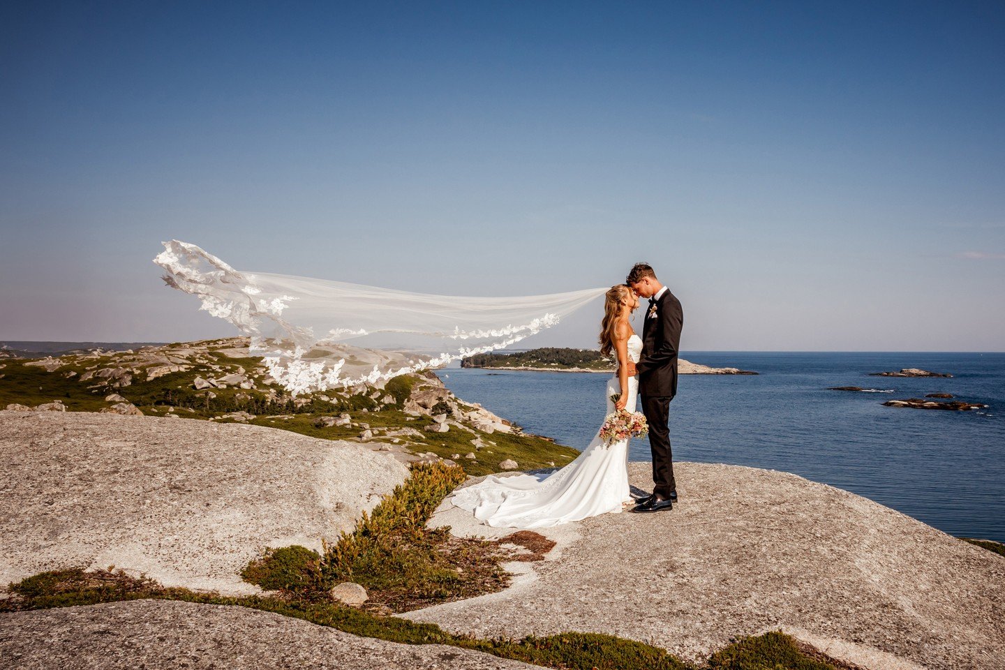 Swipe through for a few photos from a magical wedding at Polly's Cove with @married_byshannon ⁠
Congratulations to Jessica and Jag! What an incredible day!⁠
⁠
@jess_masters10 @j.masters21