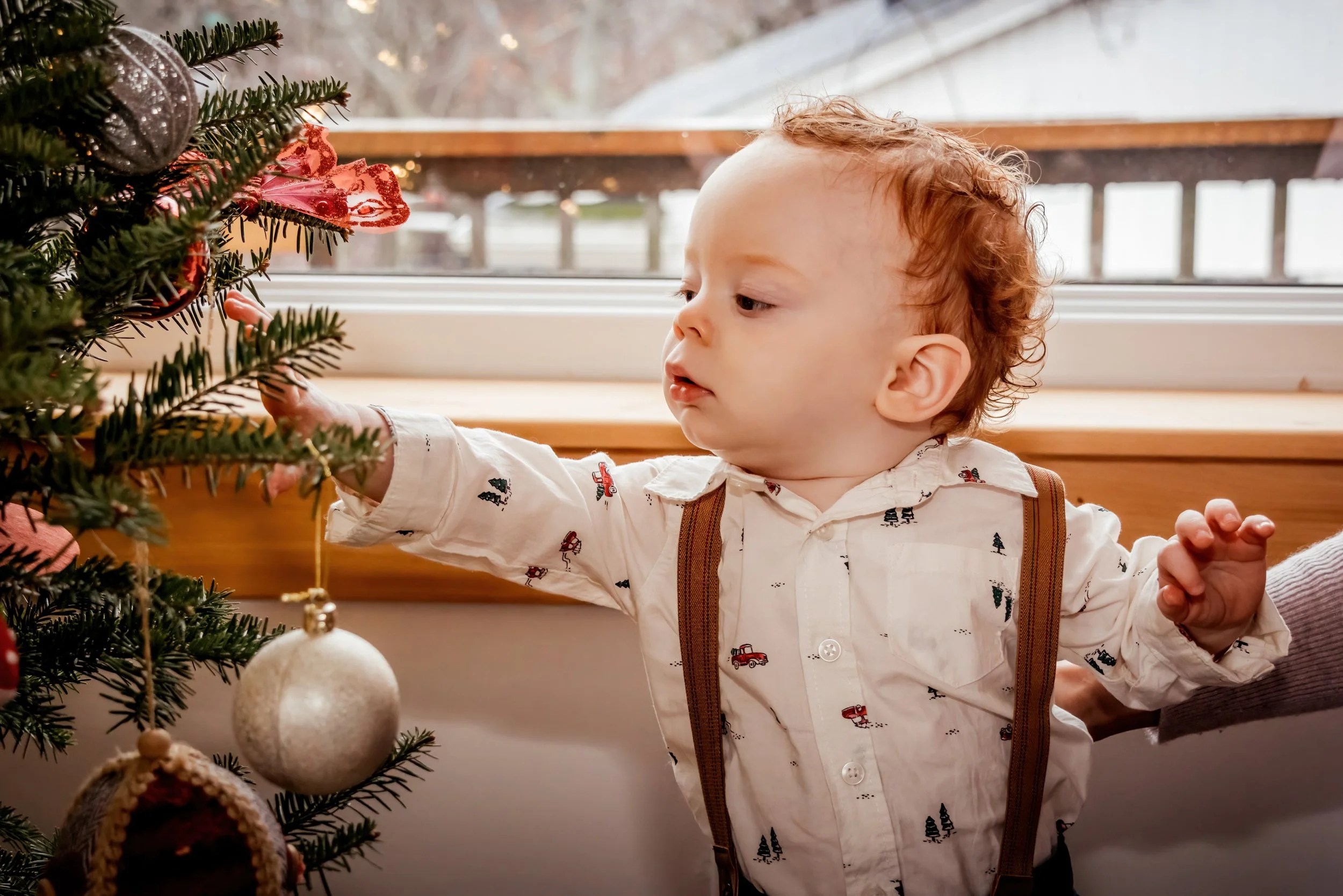 WEB SIZE Christmas 2024 019.jpg