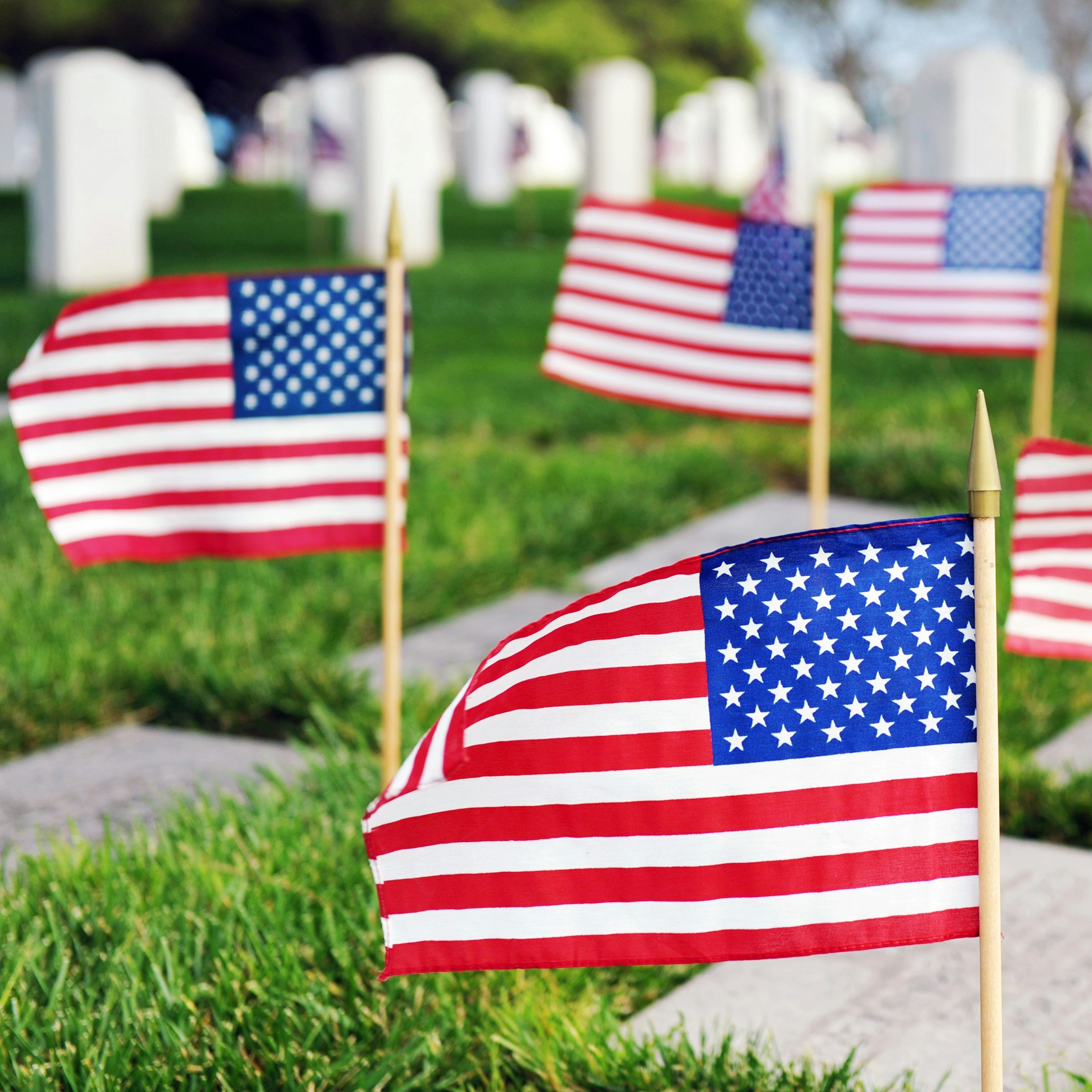 Flagging at Veteran's Graves
