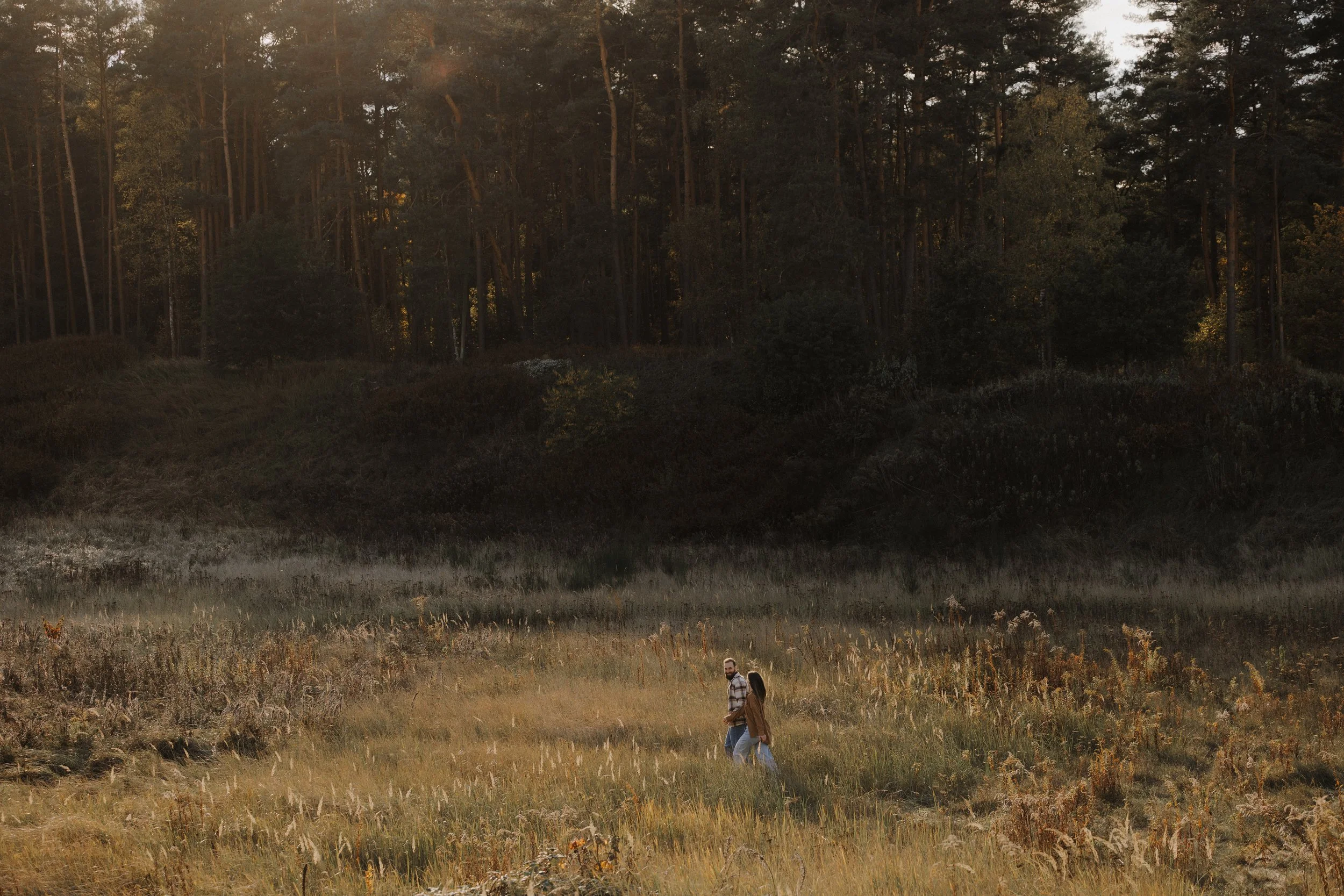 Zwei Wanderer gehen durch ein goldfarbenes Grasfeld in einer bewaldeten Landschaft bei Sonnenuntergang.