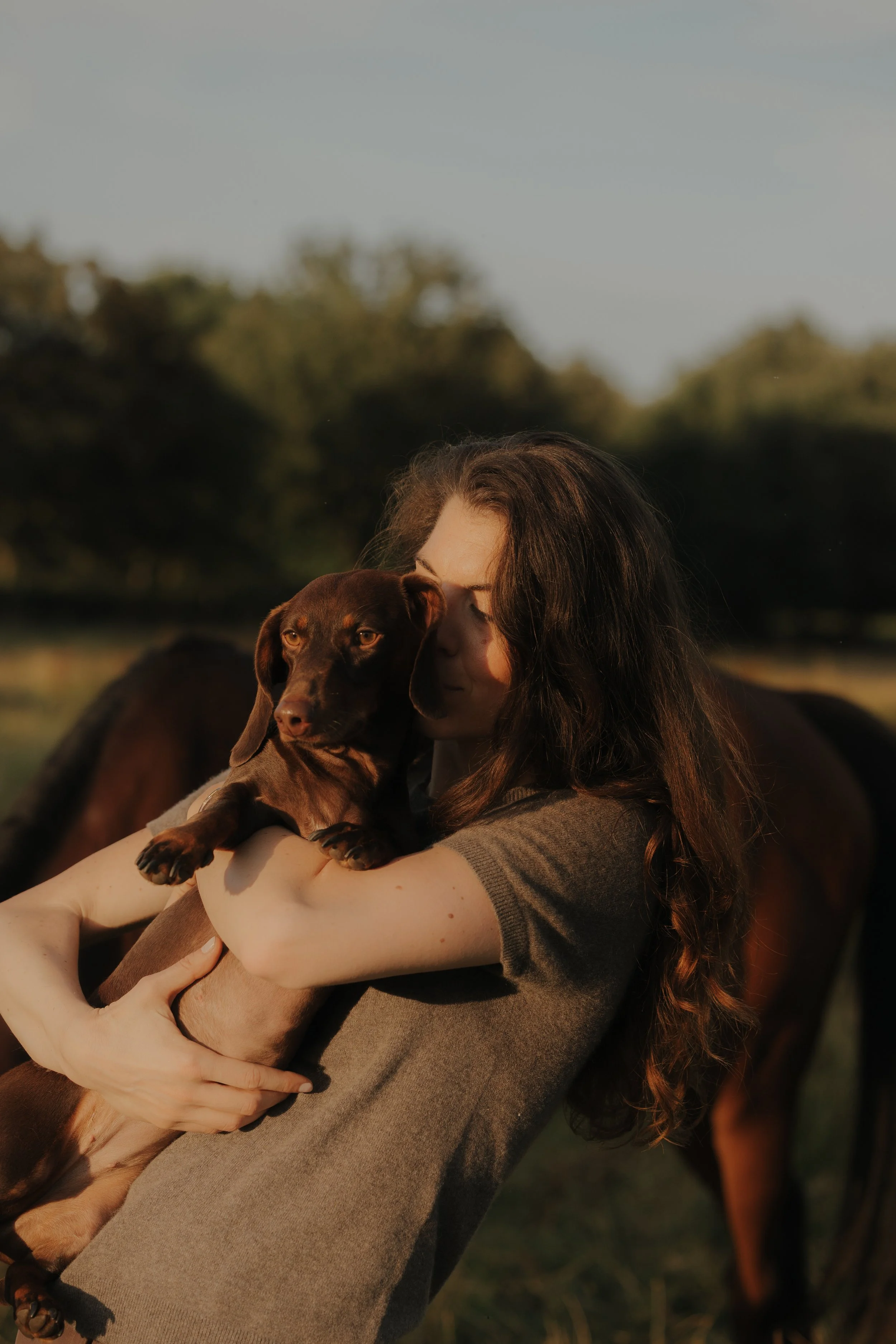 Eine Frau umarmt einen braunen Hund im Freien bei Sonnenuntergang, im Hintergrund sind Bäume und Pferde sichtbar.