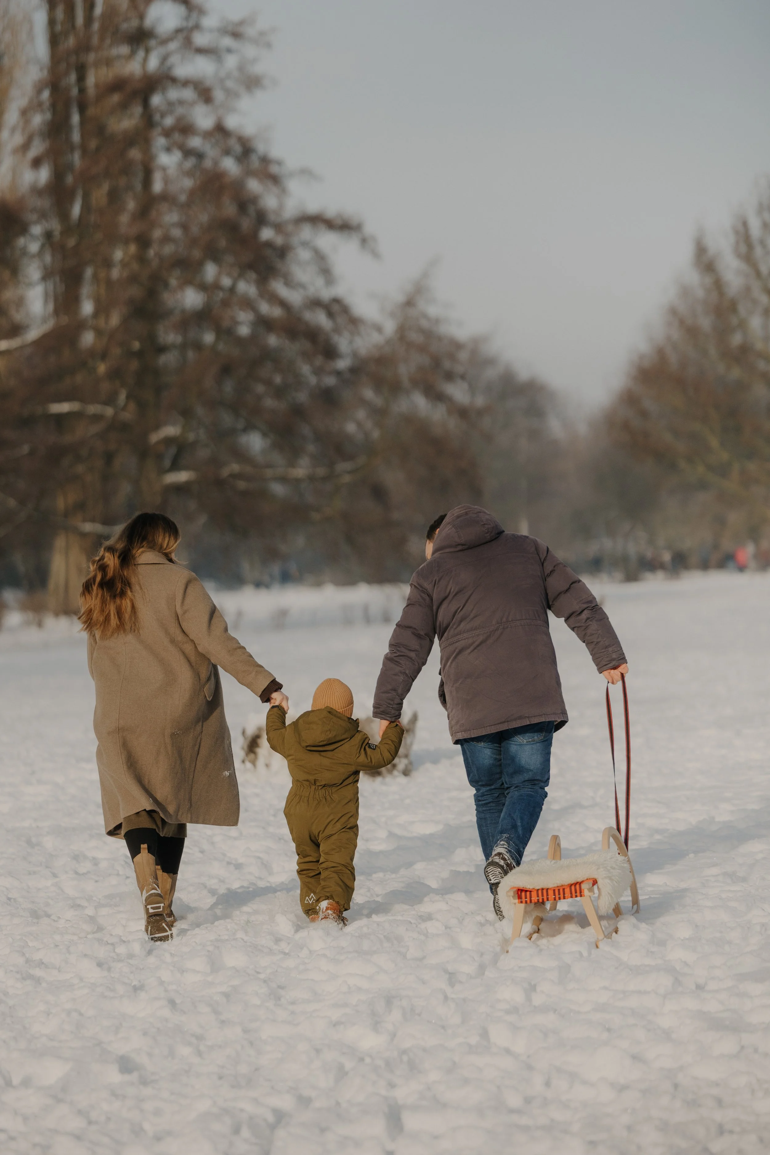 Familie beim Spaziergang im verschneiten Park, die Eltern halten die Kinderhände, ein Kind zieht eine Schlitten, die Bäume sind kahl und die Atmosphäre ist winterlich.