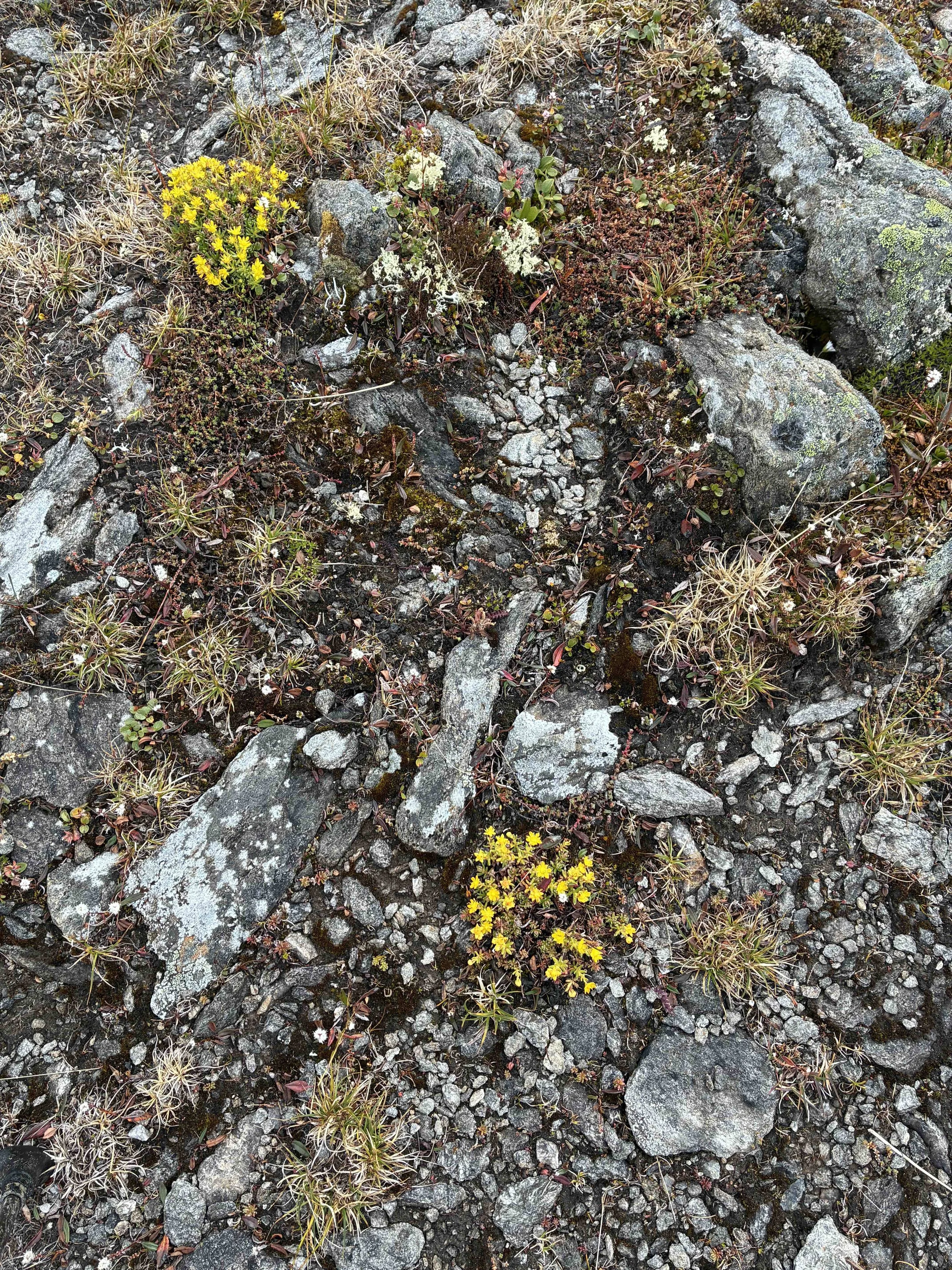 Bild 4.jpg