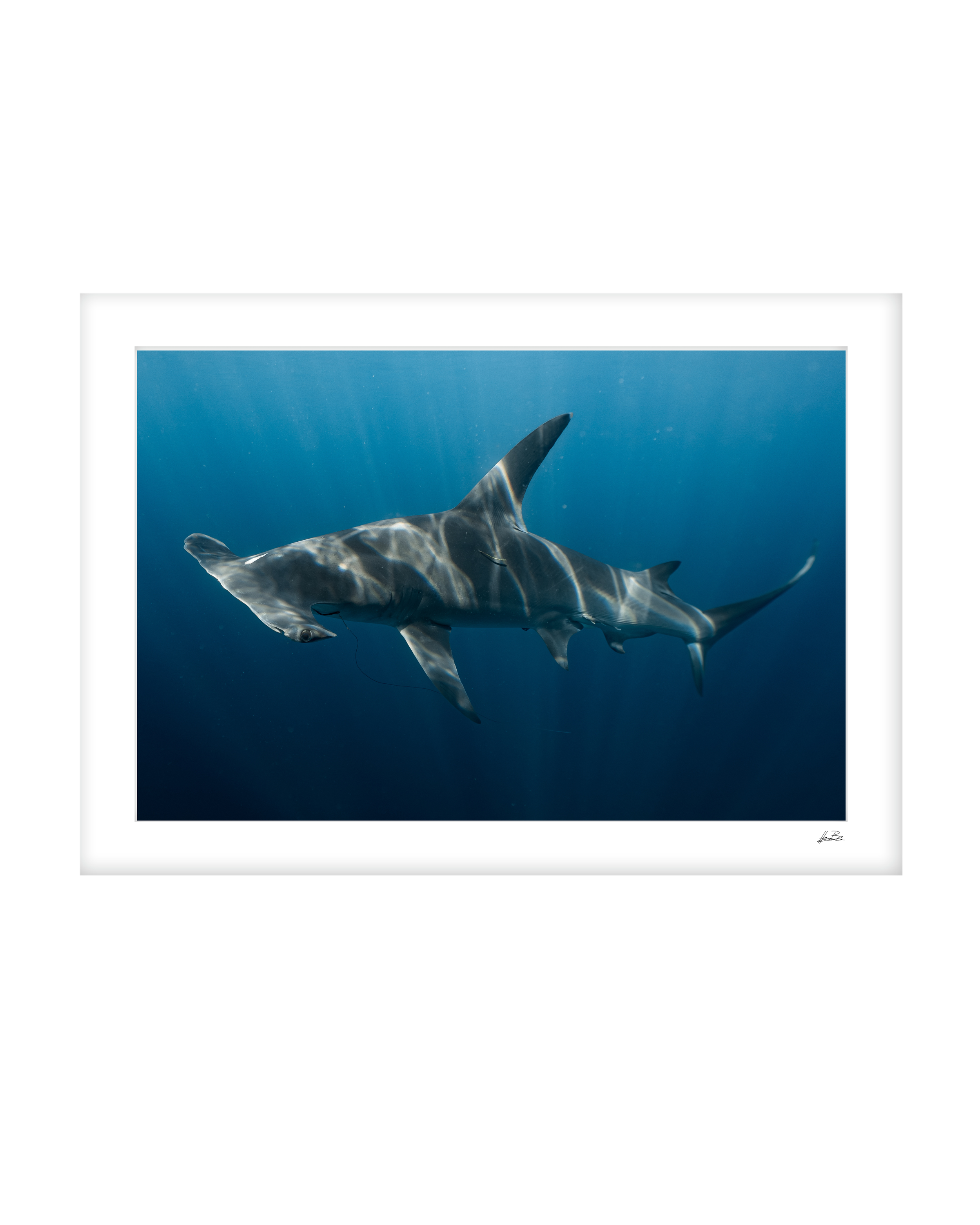 Fine Art Paper Mockup Template.png