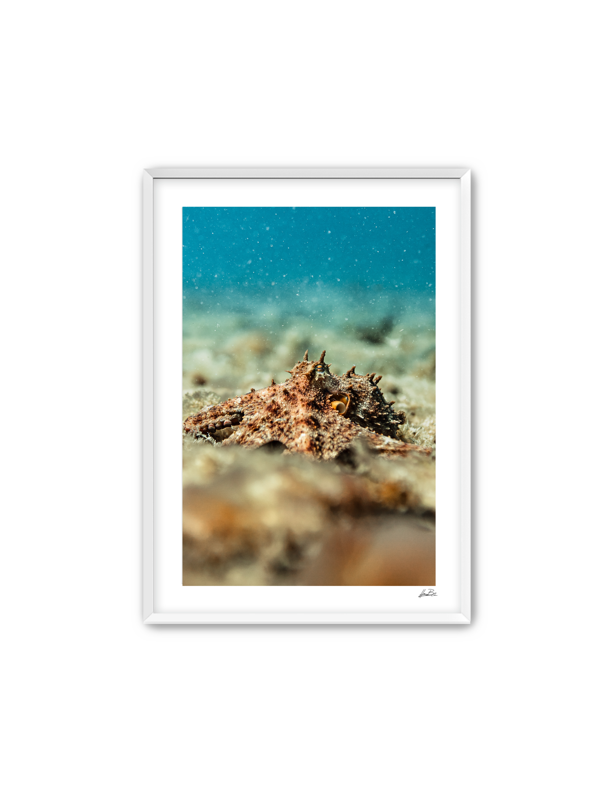Frame Mockup Template (10).png