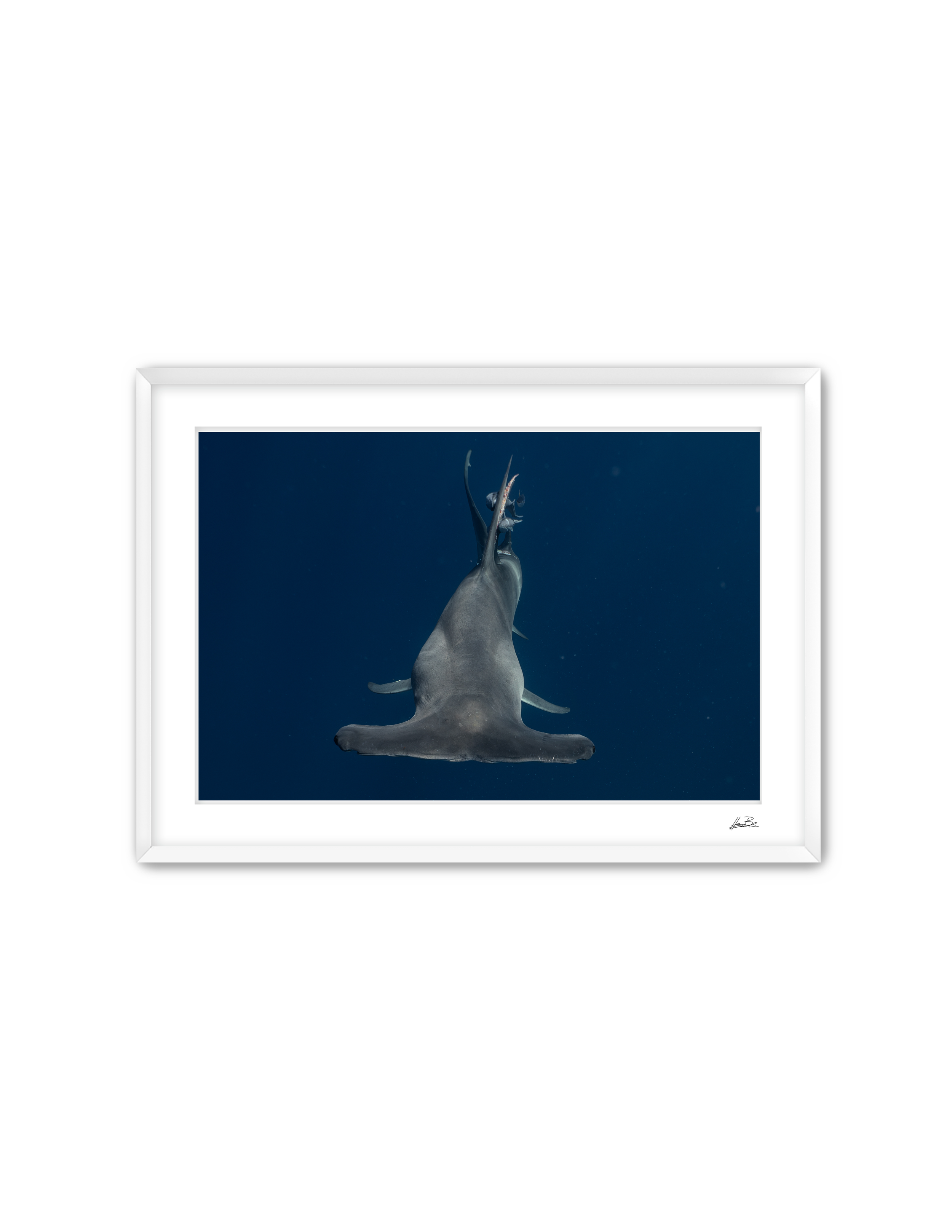 172.png