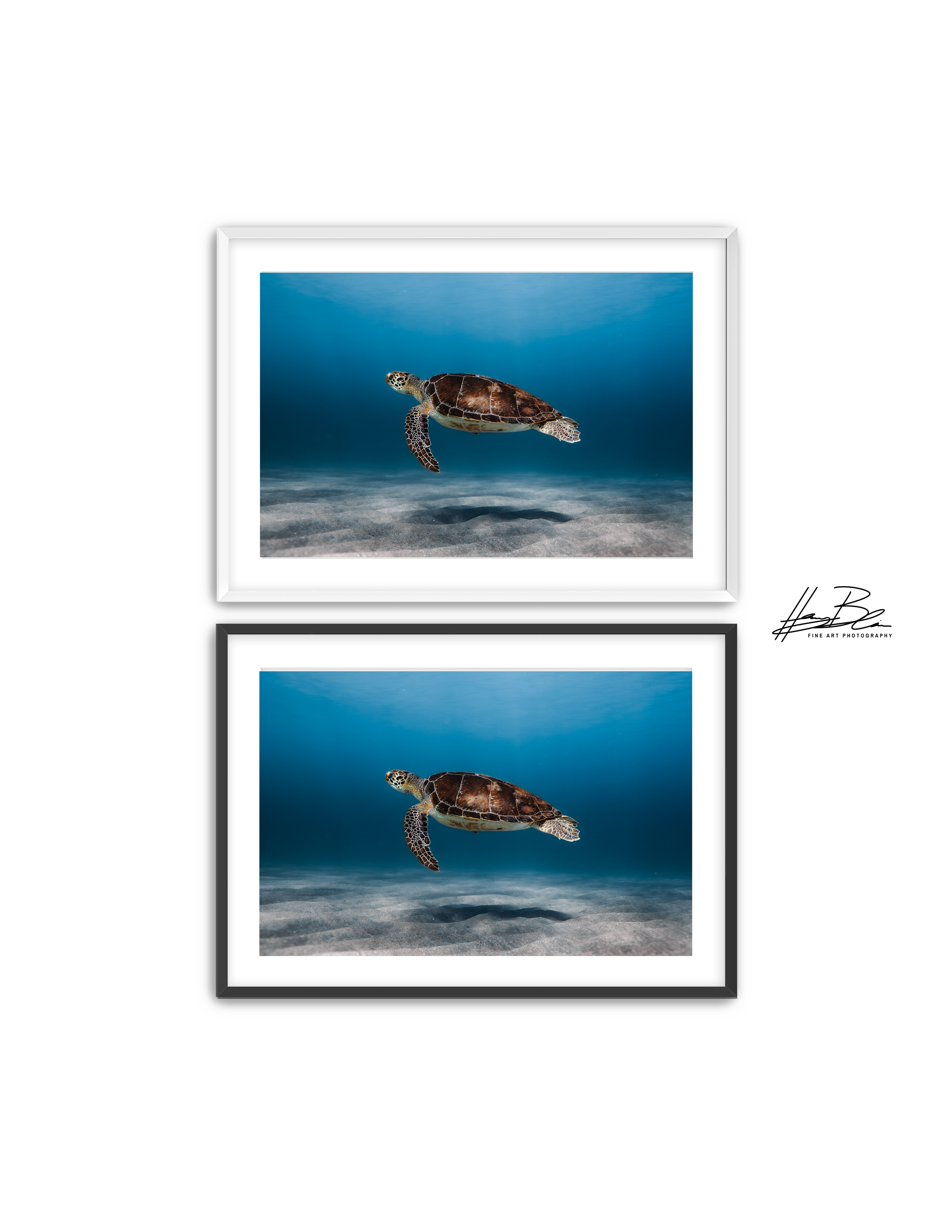 Frame Mockup Template (8).png
