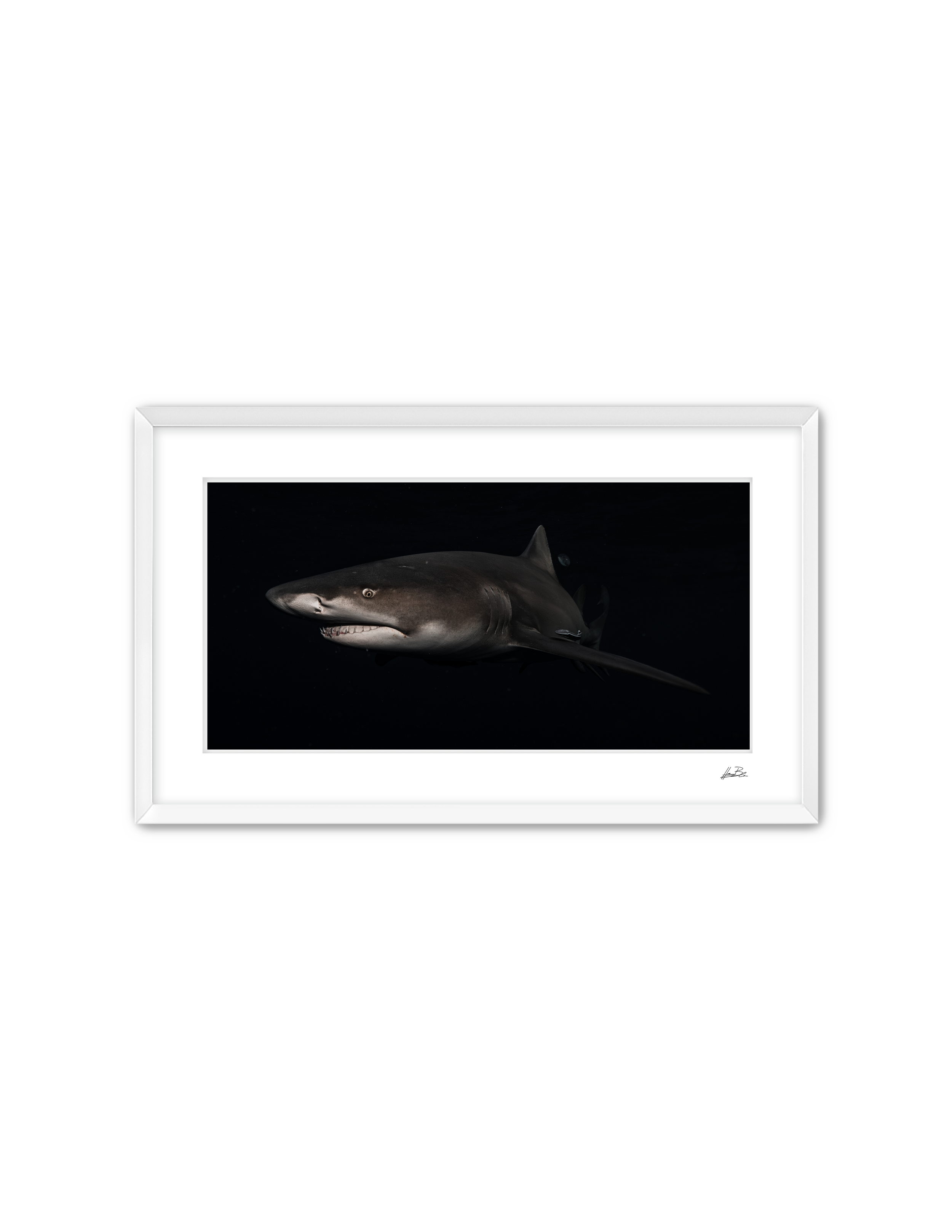 Frame Mockup Template (7).png