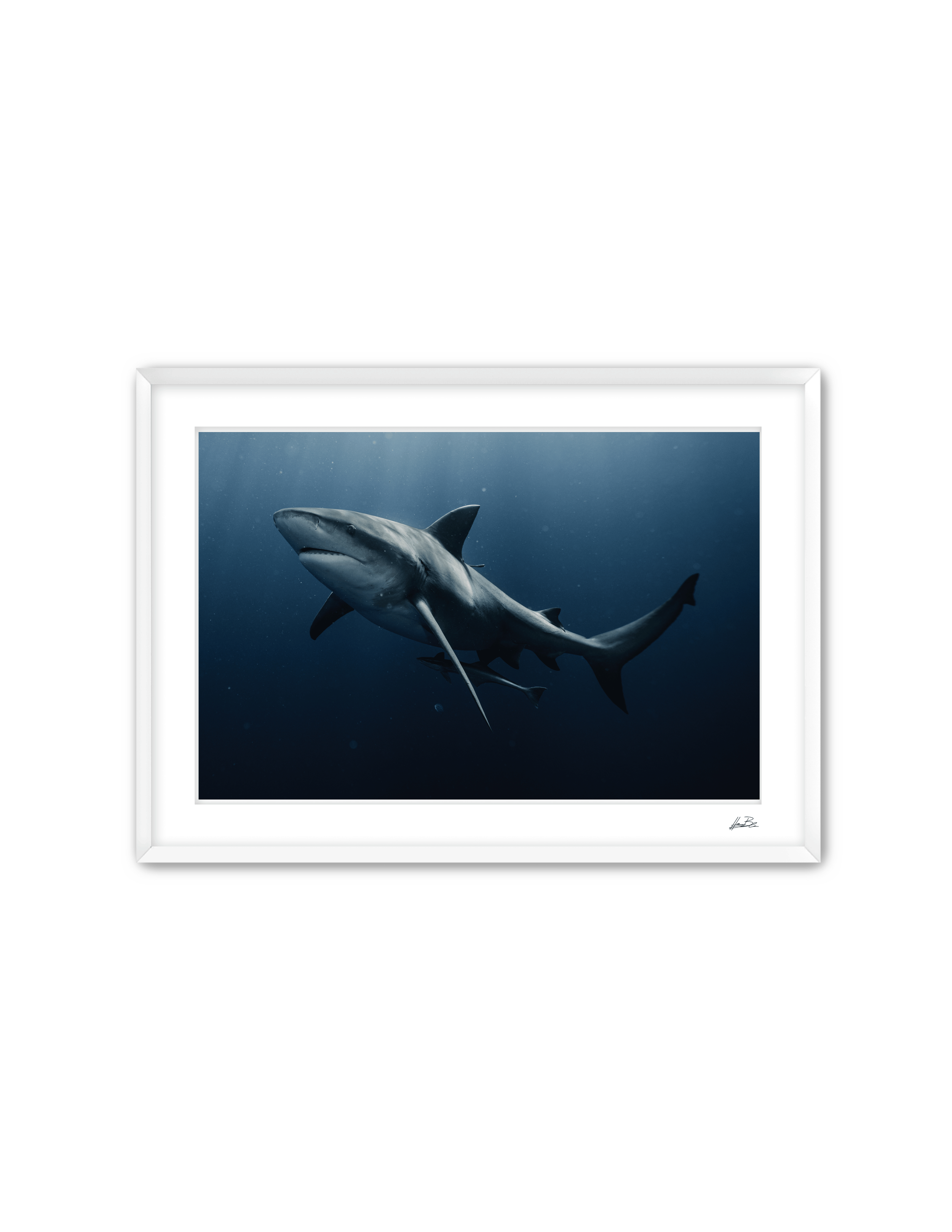 Frame Mockup Template (9).png