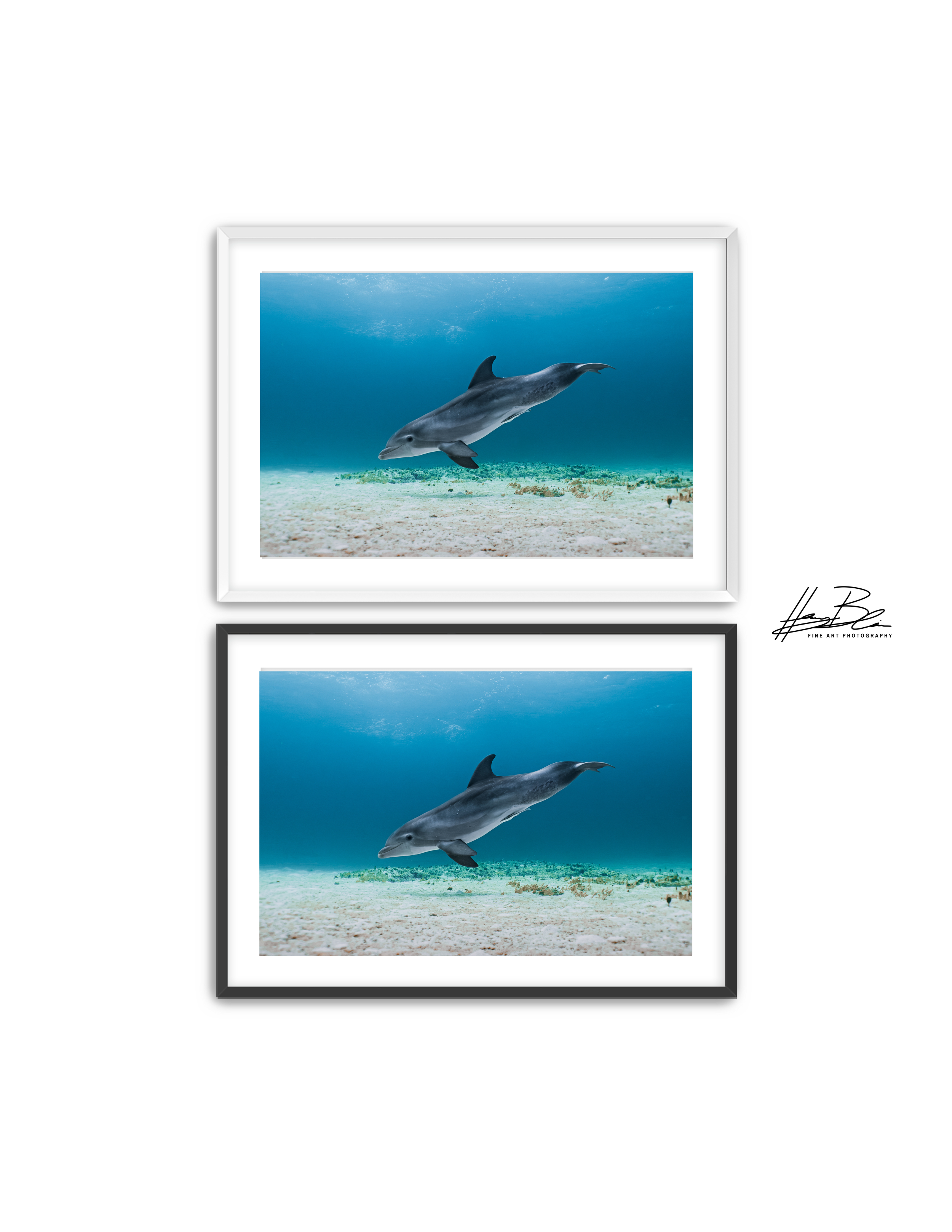 Frame Mockup Template (12).png