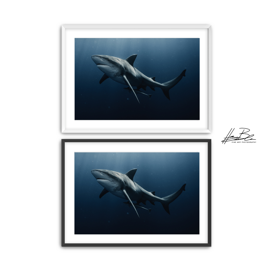 42.png