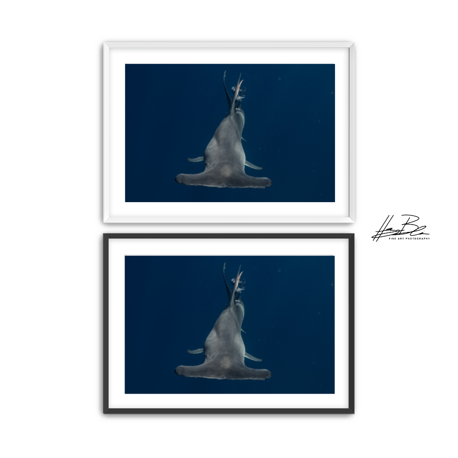 52.png