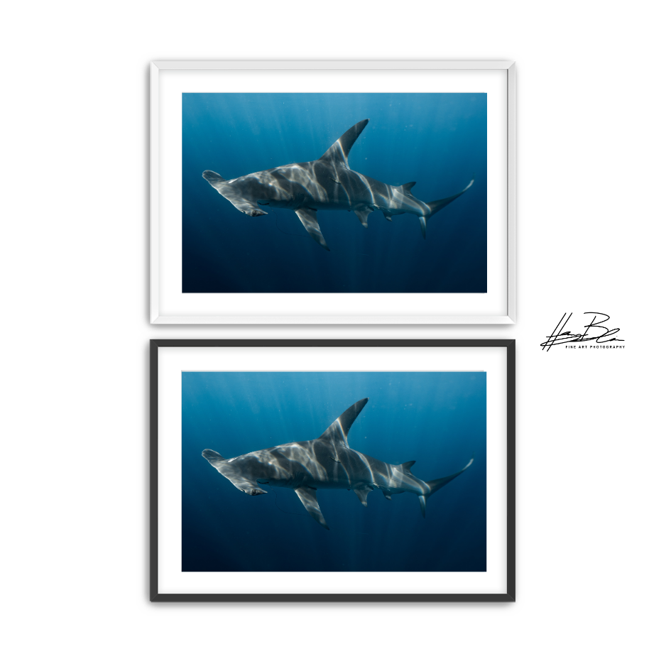 58.png