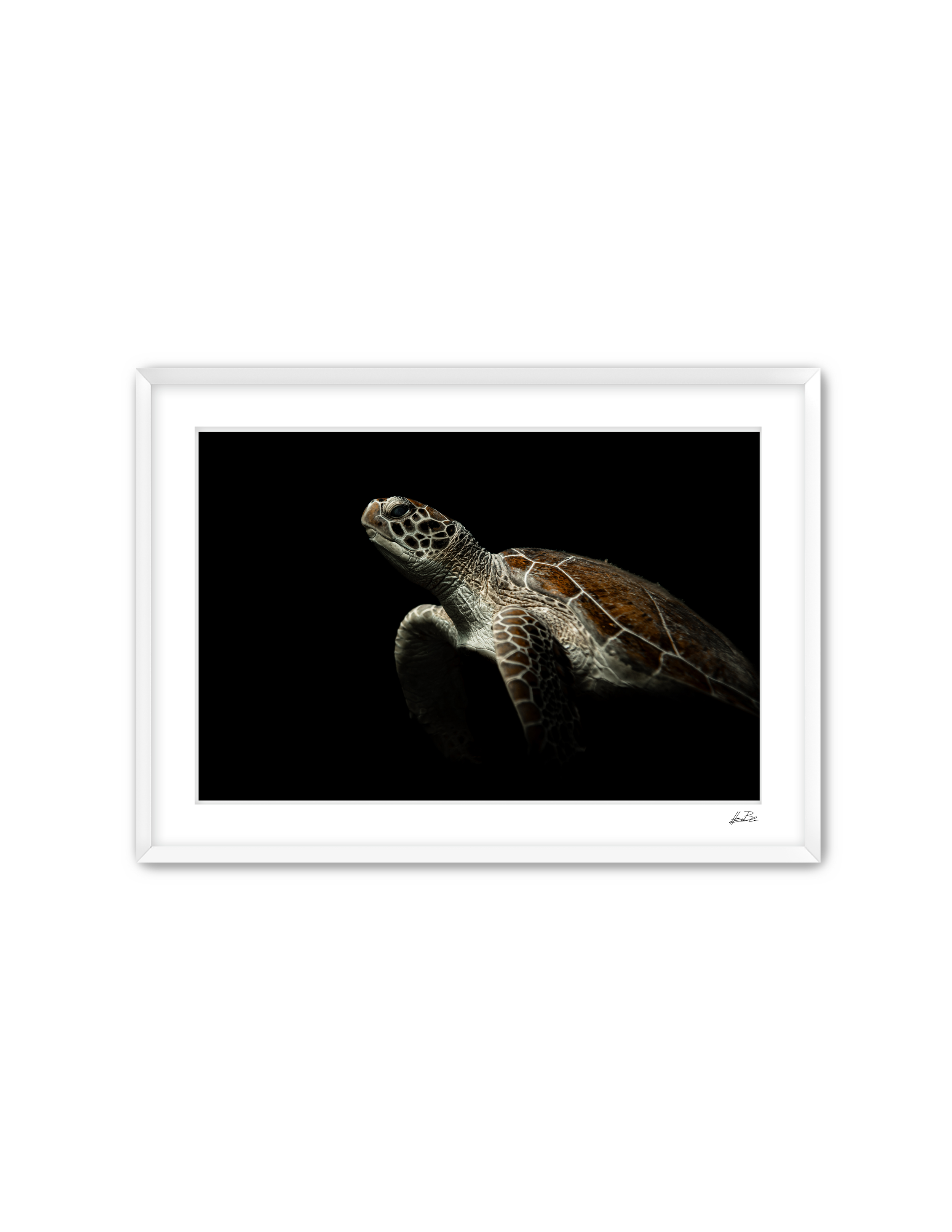 Frame Mockup Template (1).png