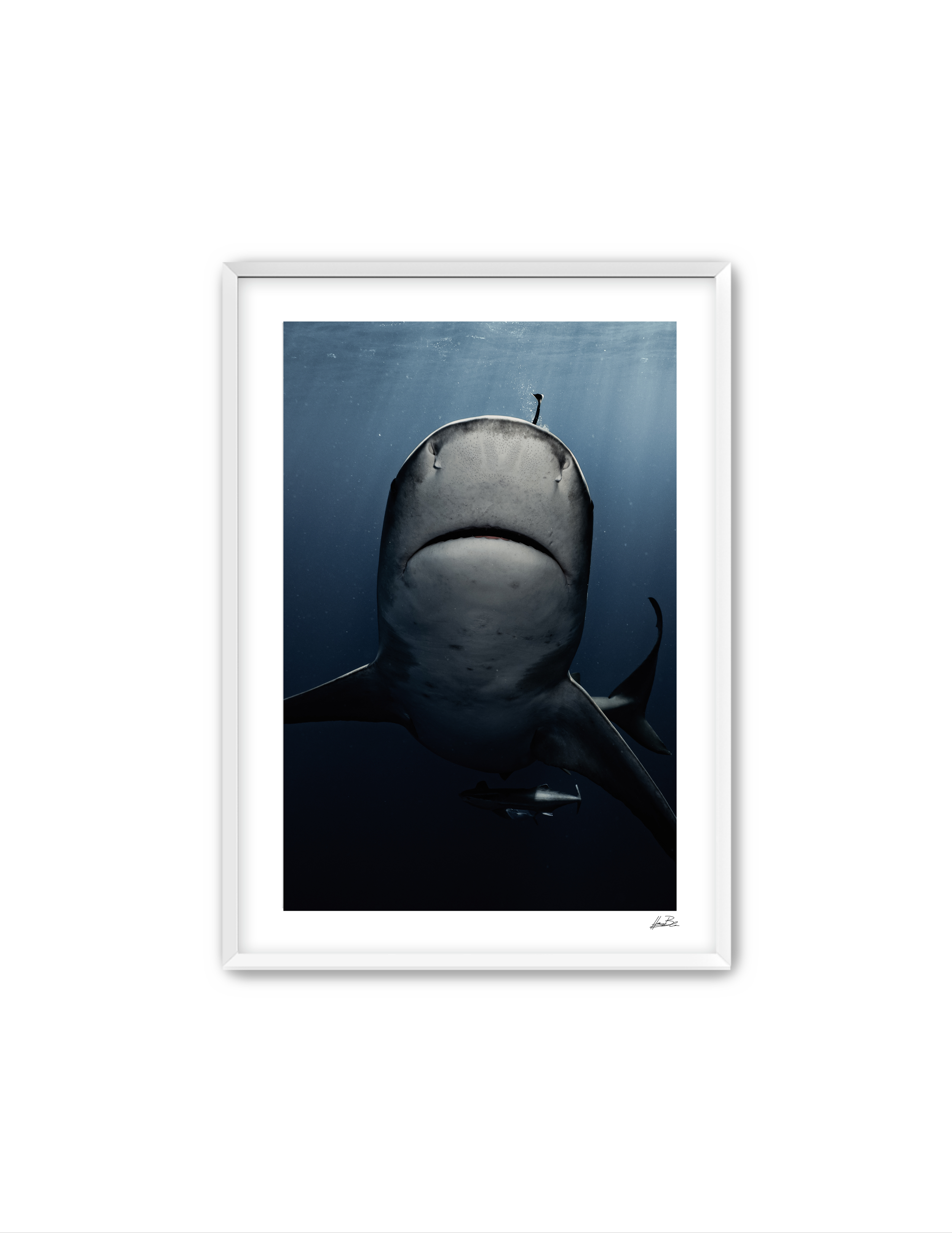 99.png