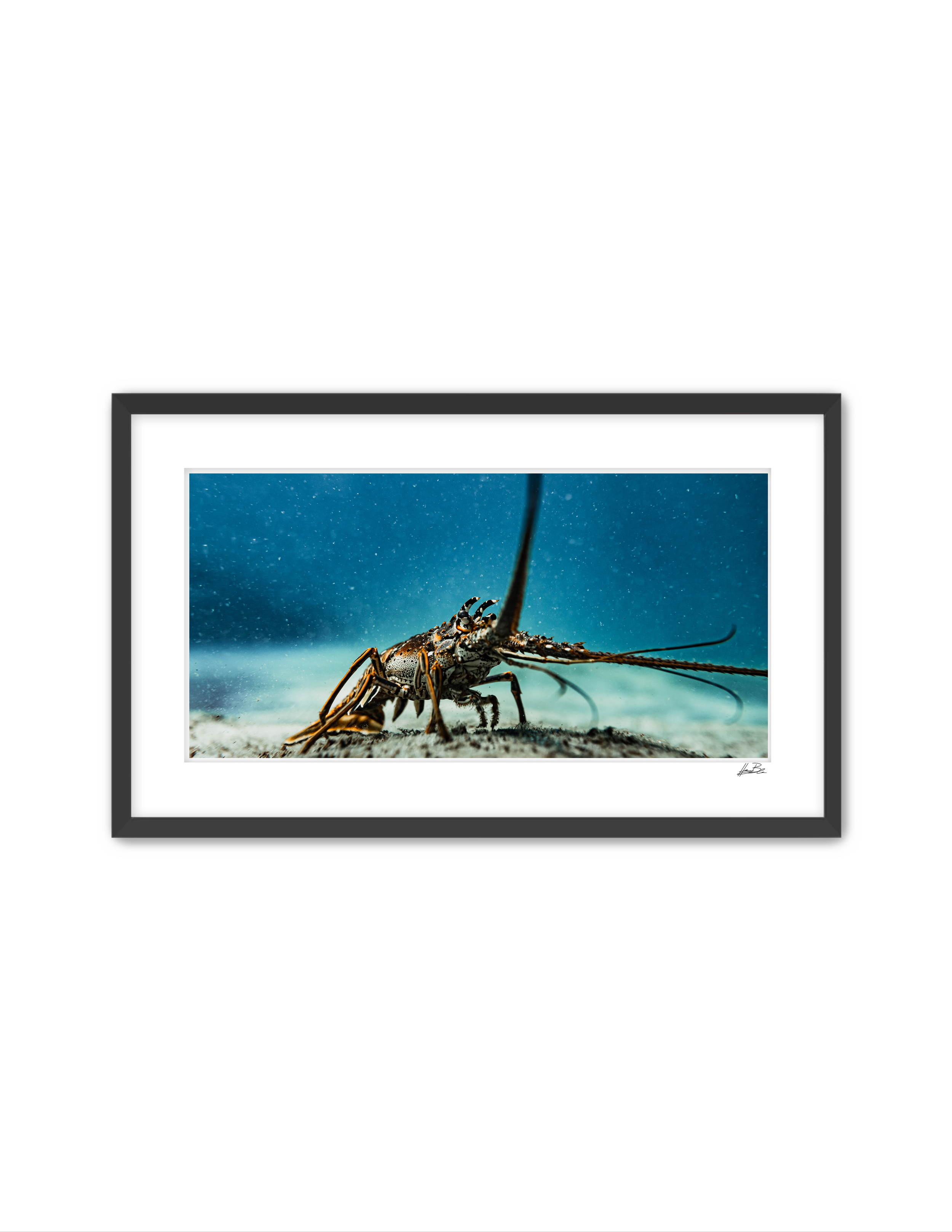 "Buggin Around"