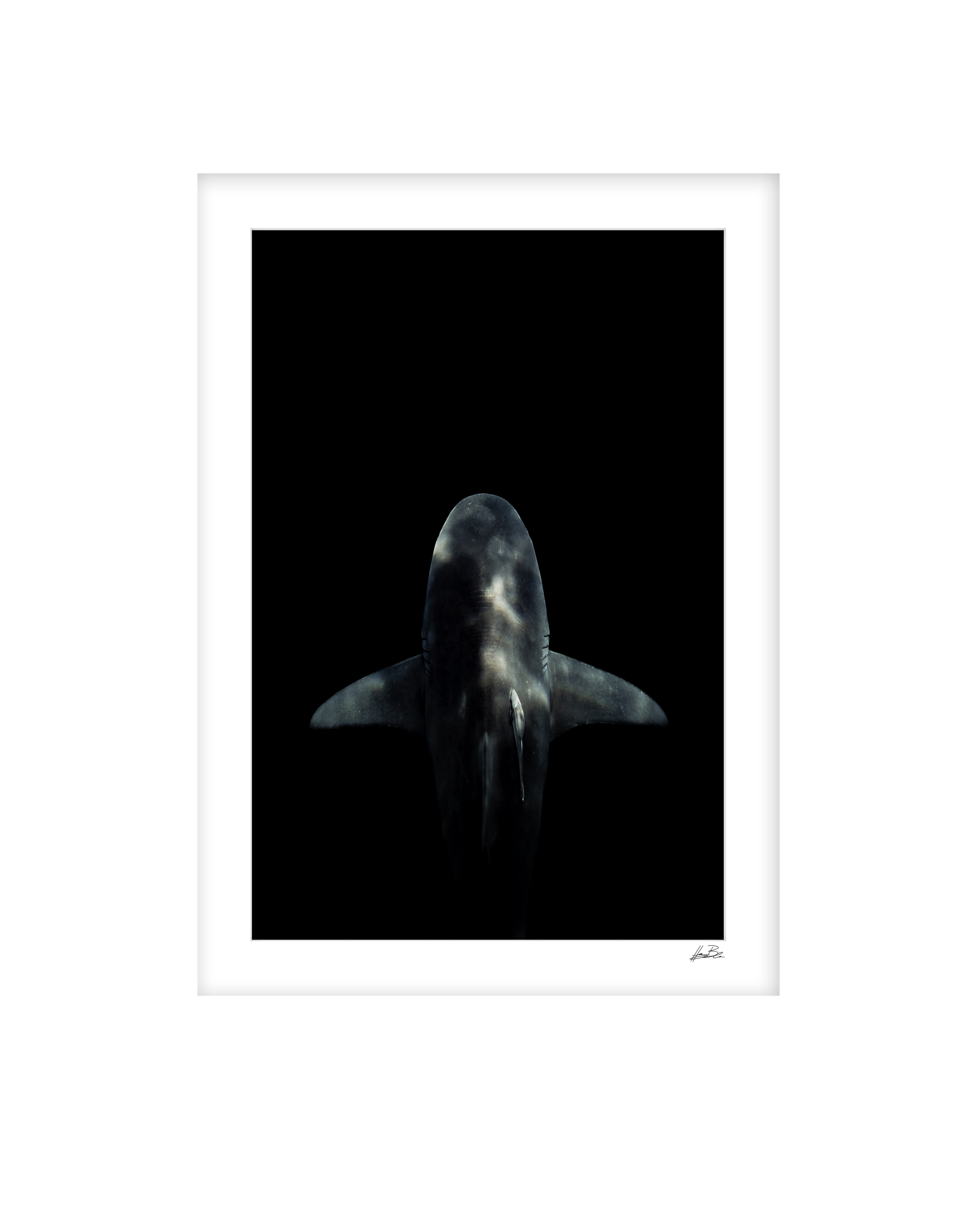 41.png