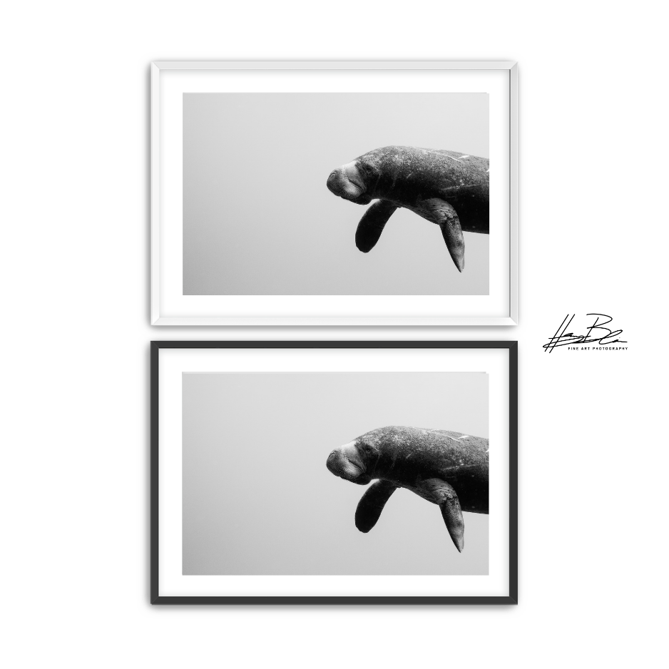 41.png