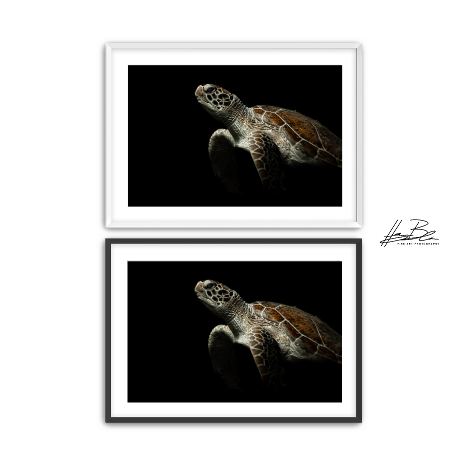 62.png