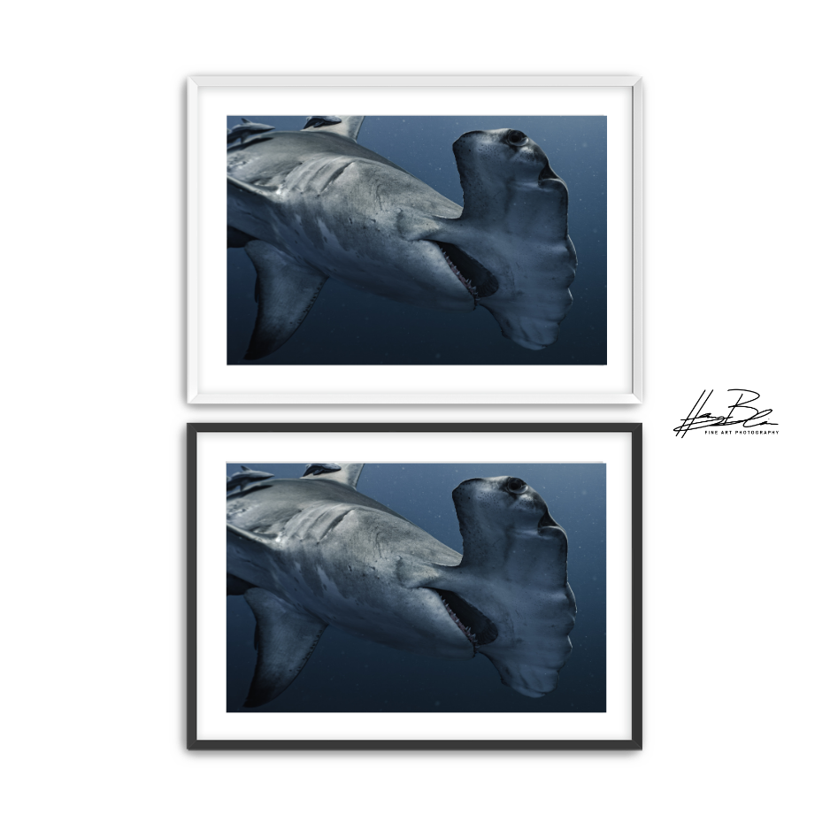 51.png