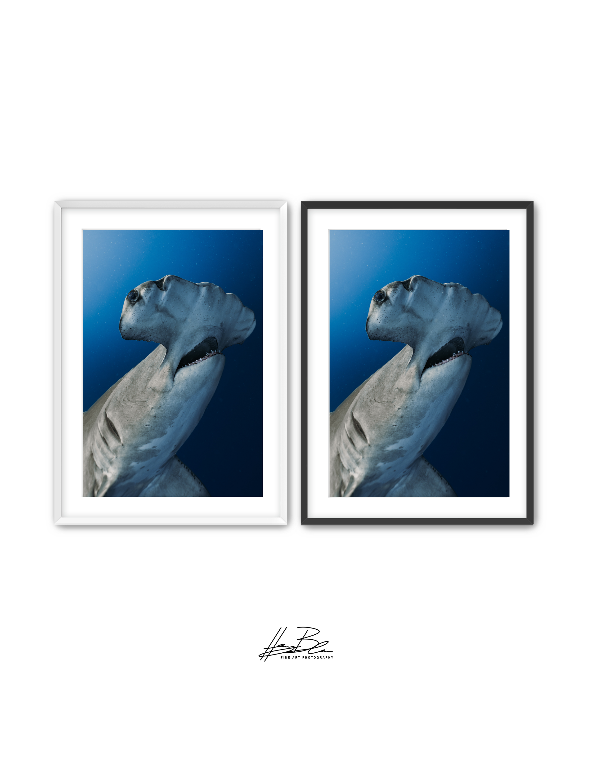 91.png