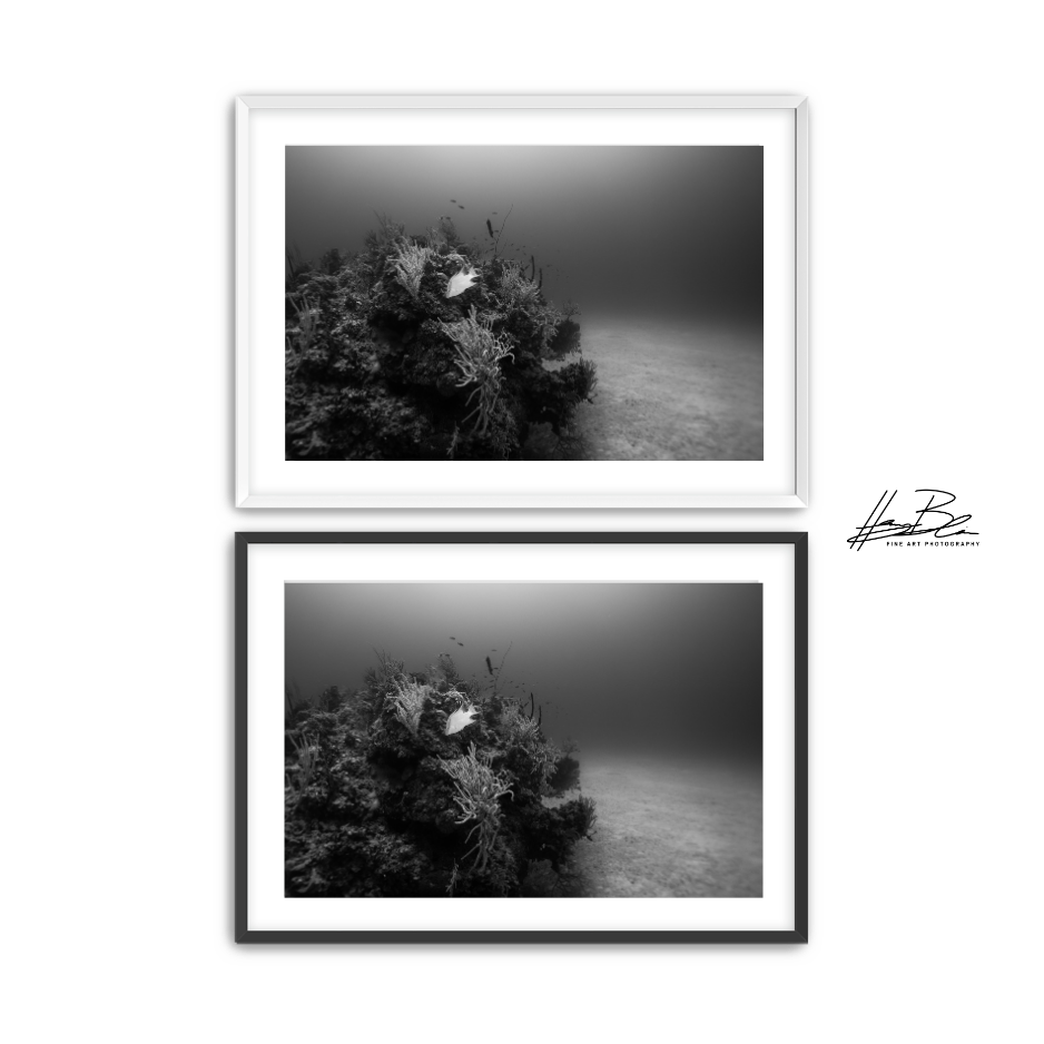 Untitled design (3).png