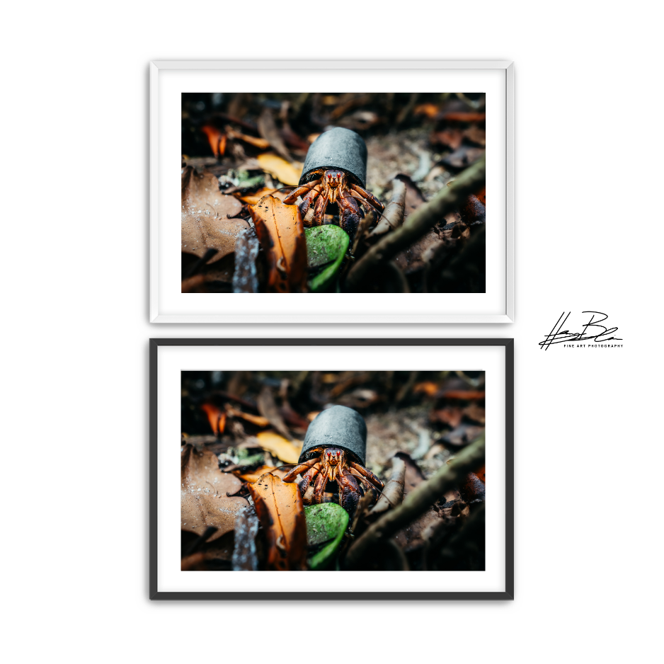 Untitled design (1).png