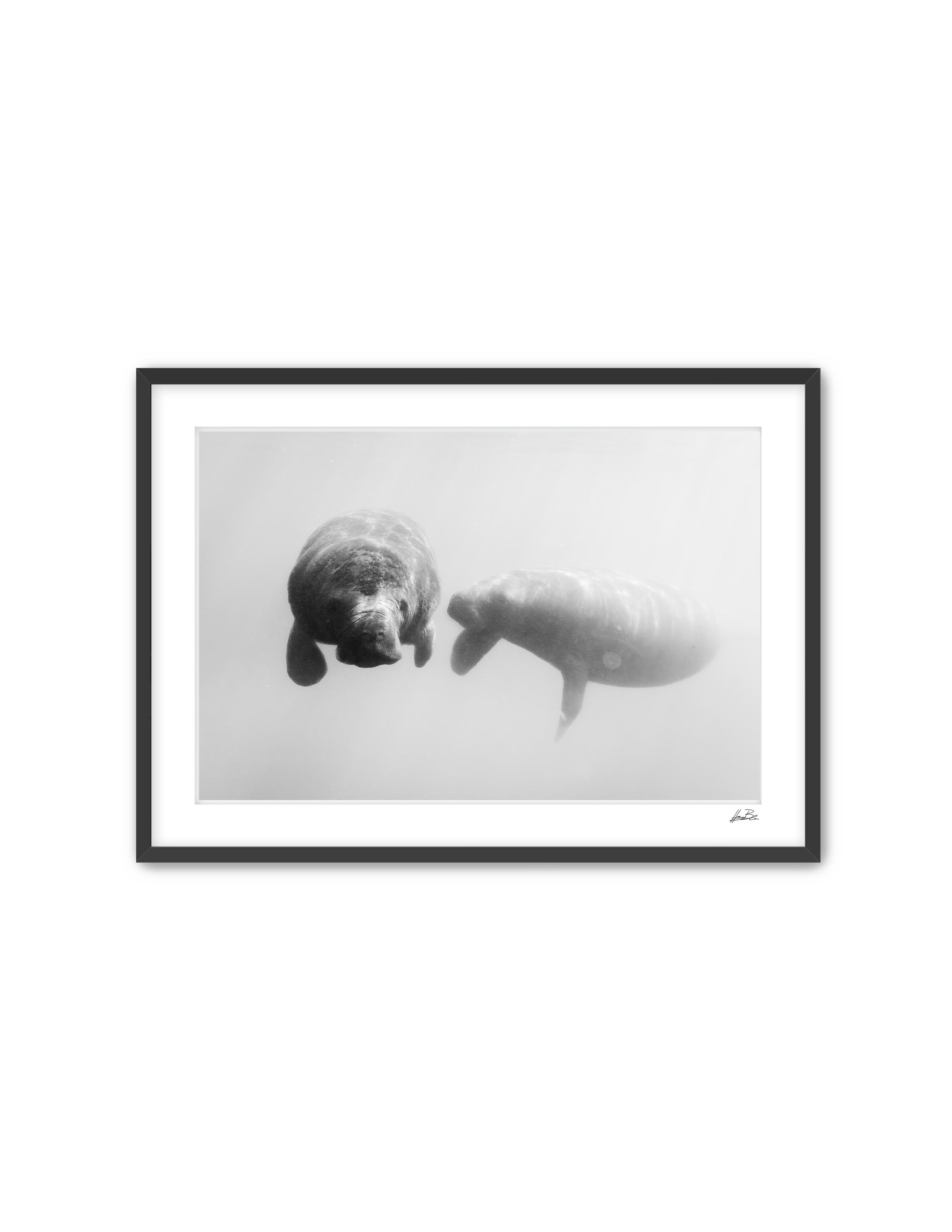 Frame Mockup Template (2).png