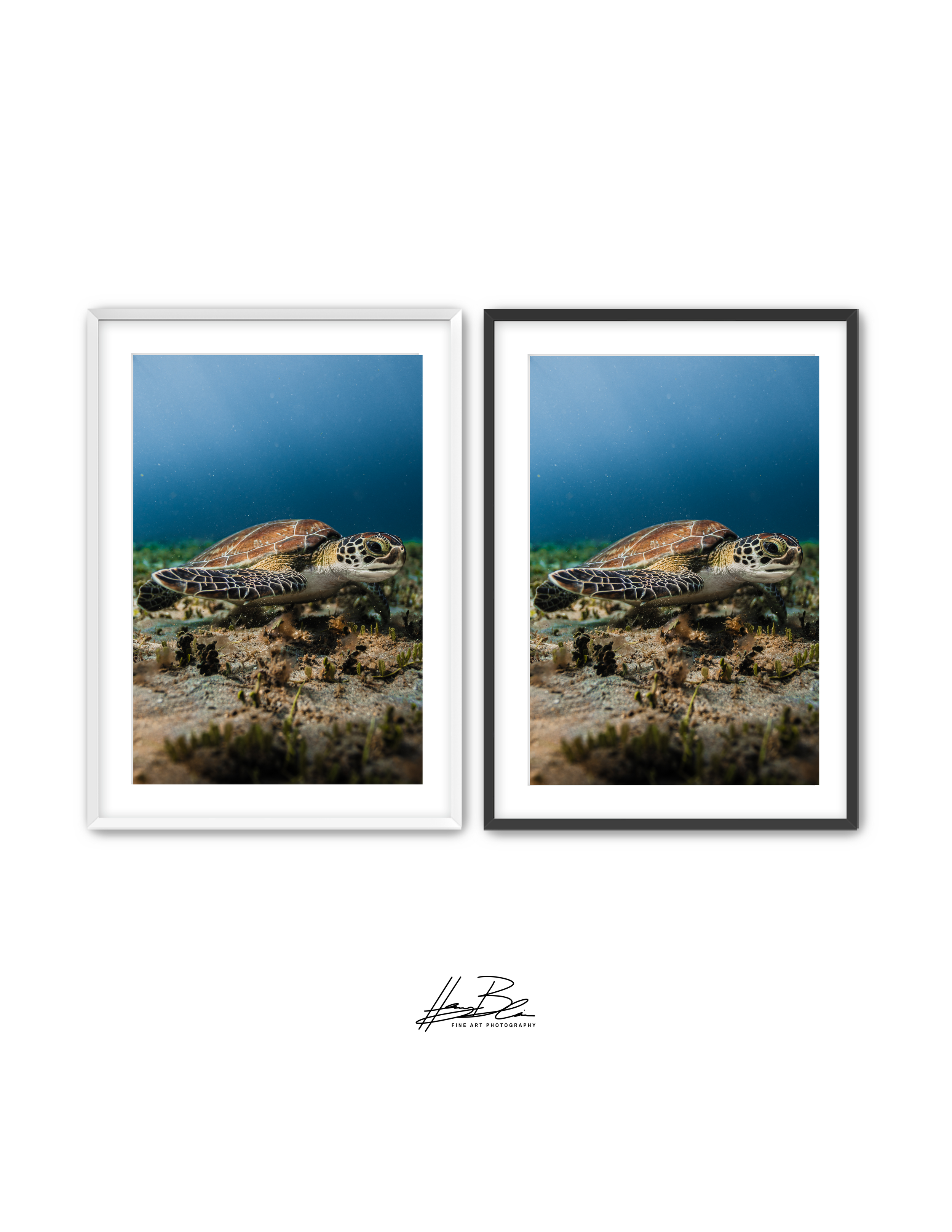 Frame Mockup Template (13).png