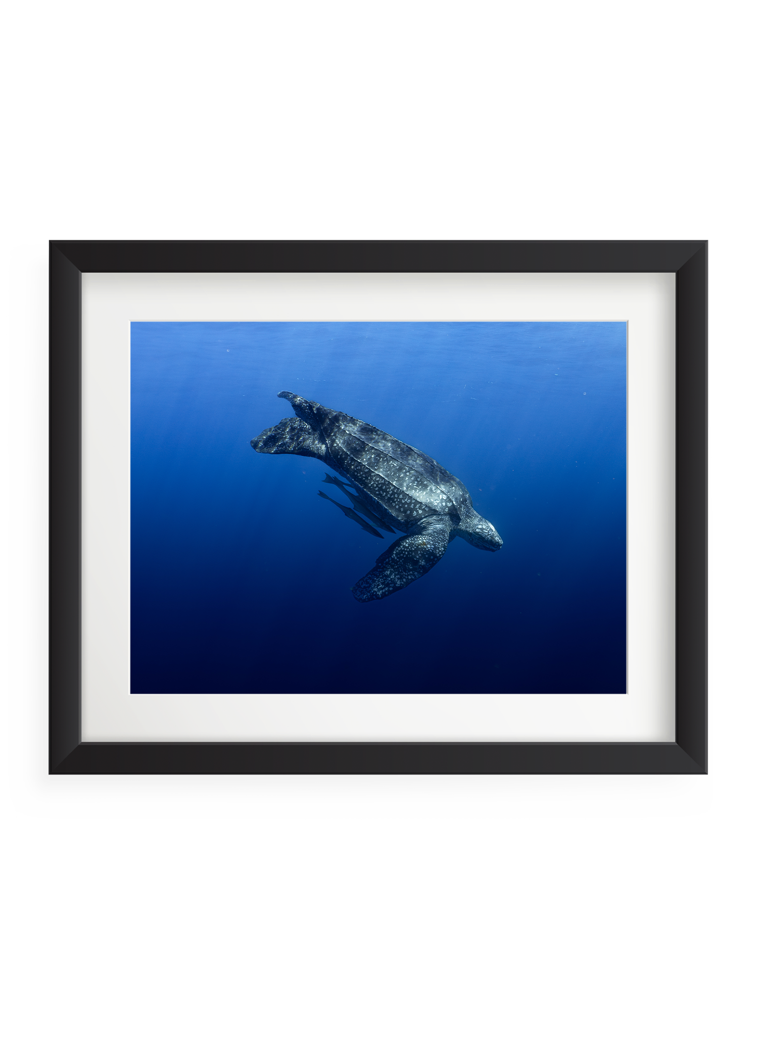 ancient grace_Print.png