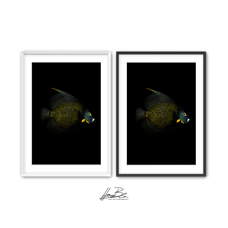 36.png