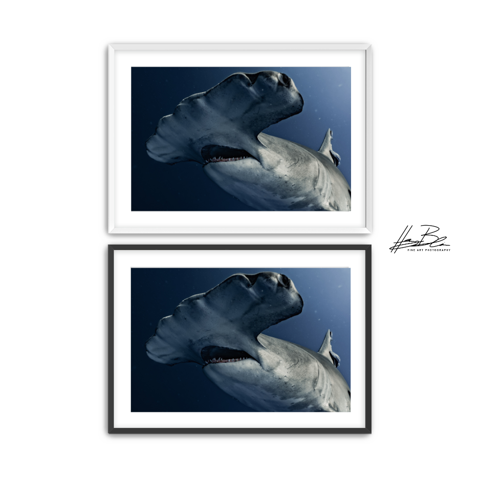 37.png